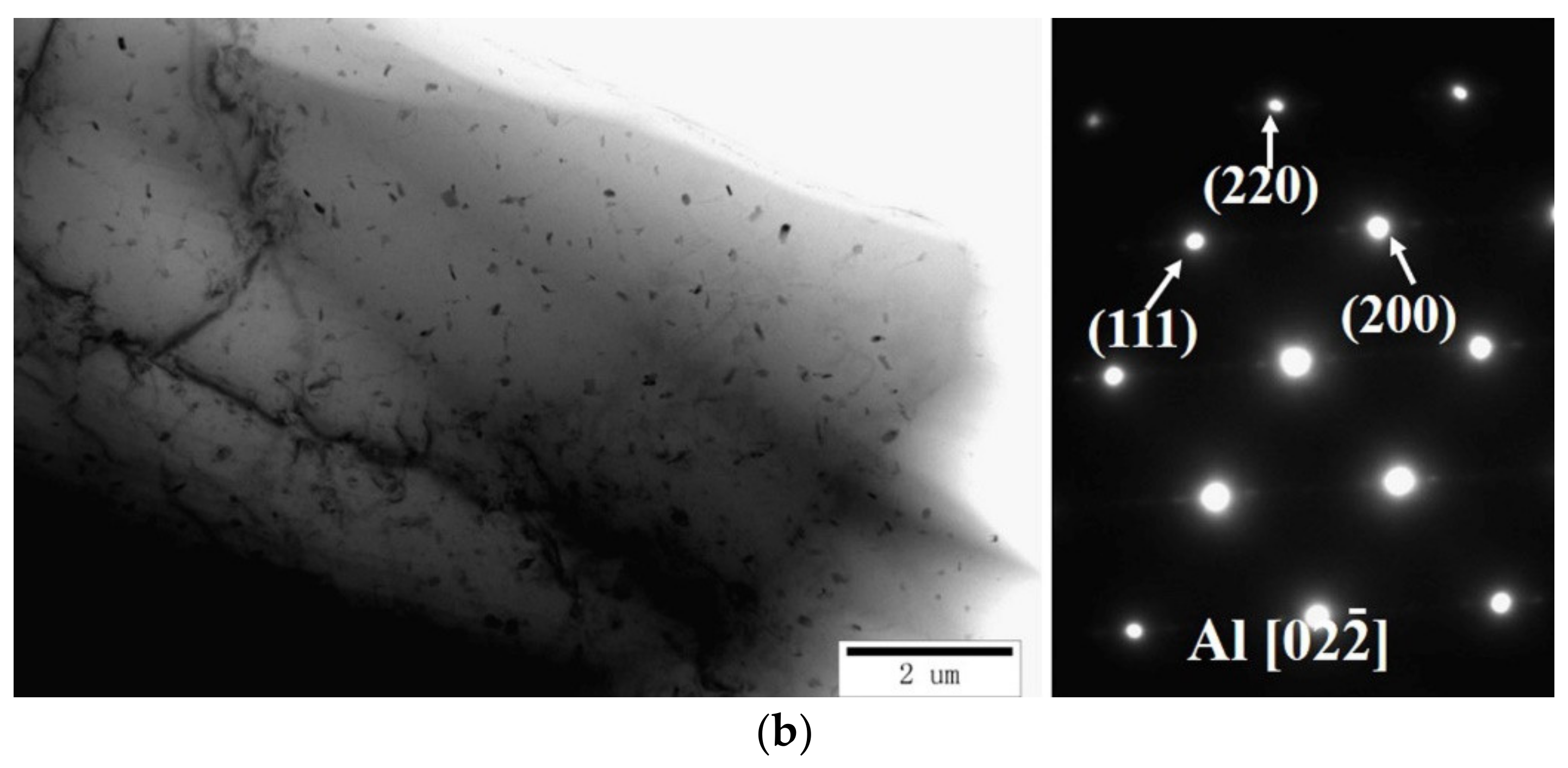 Materials 15 00295 g007b