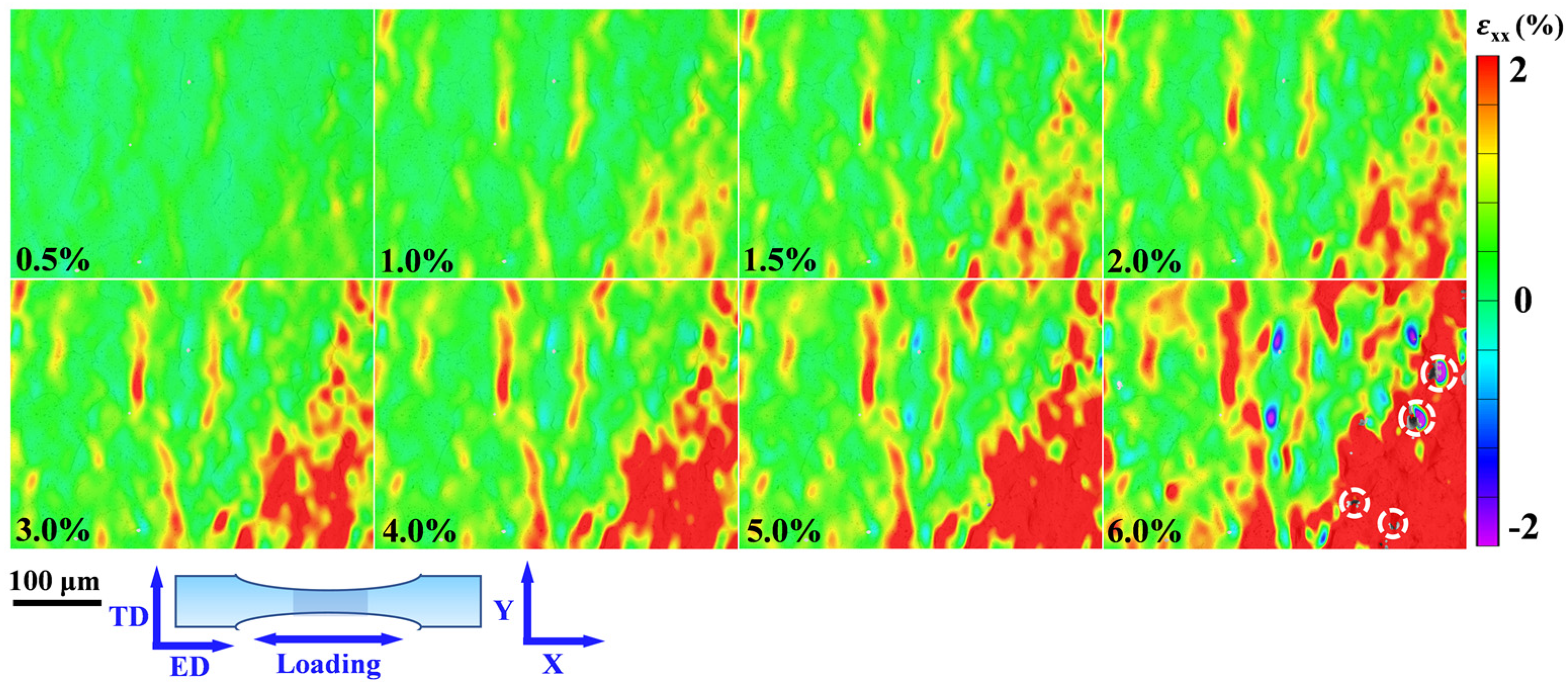 Materials 15 00300 g010