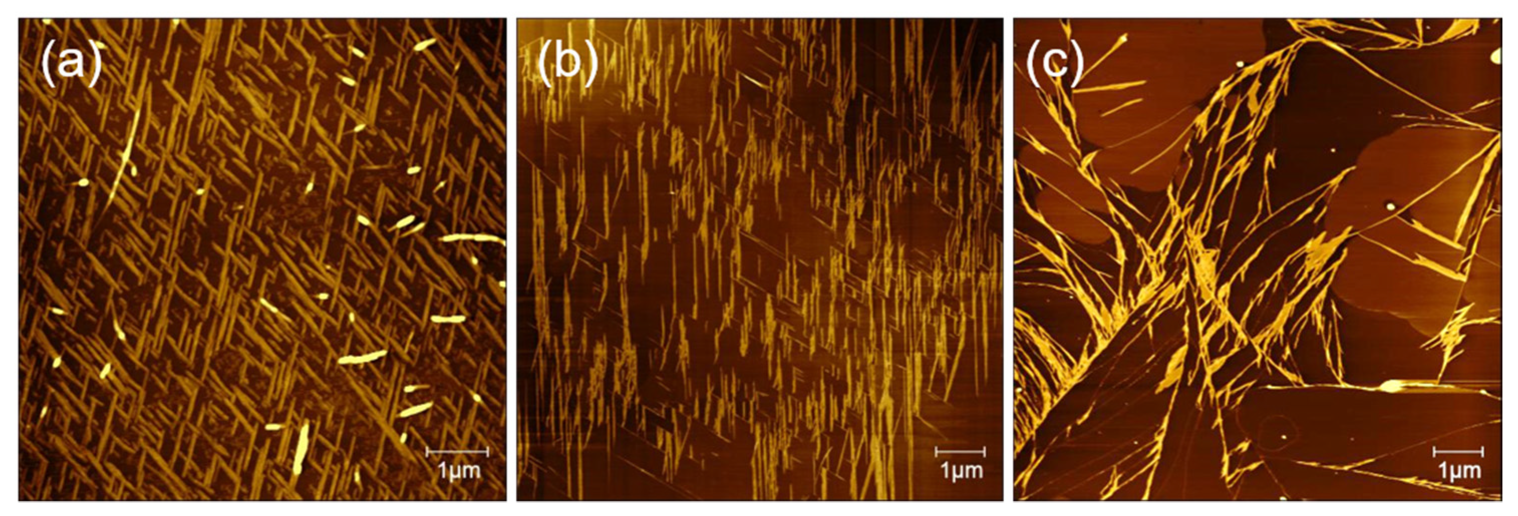 Materials 15 00310 g005