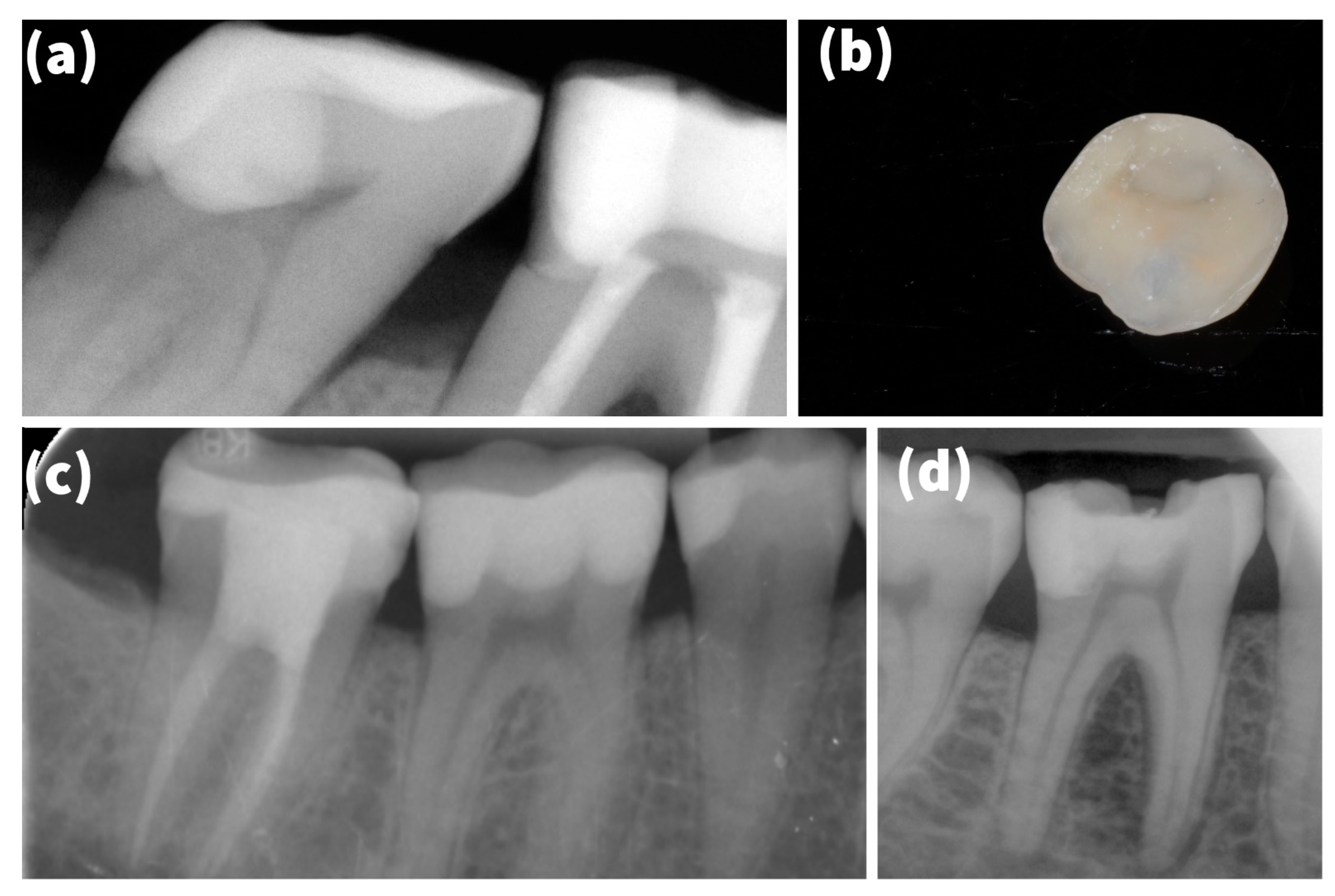 Materials 15 00312 g003