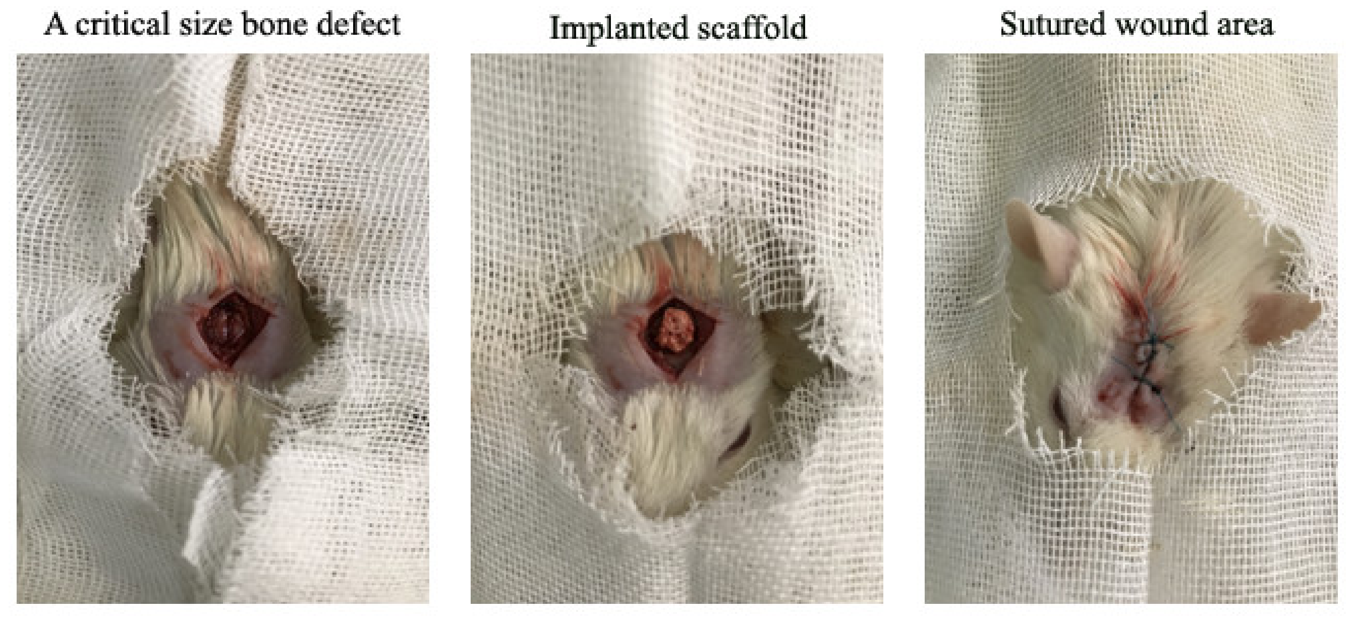 Materials 15 00318 g001