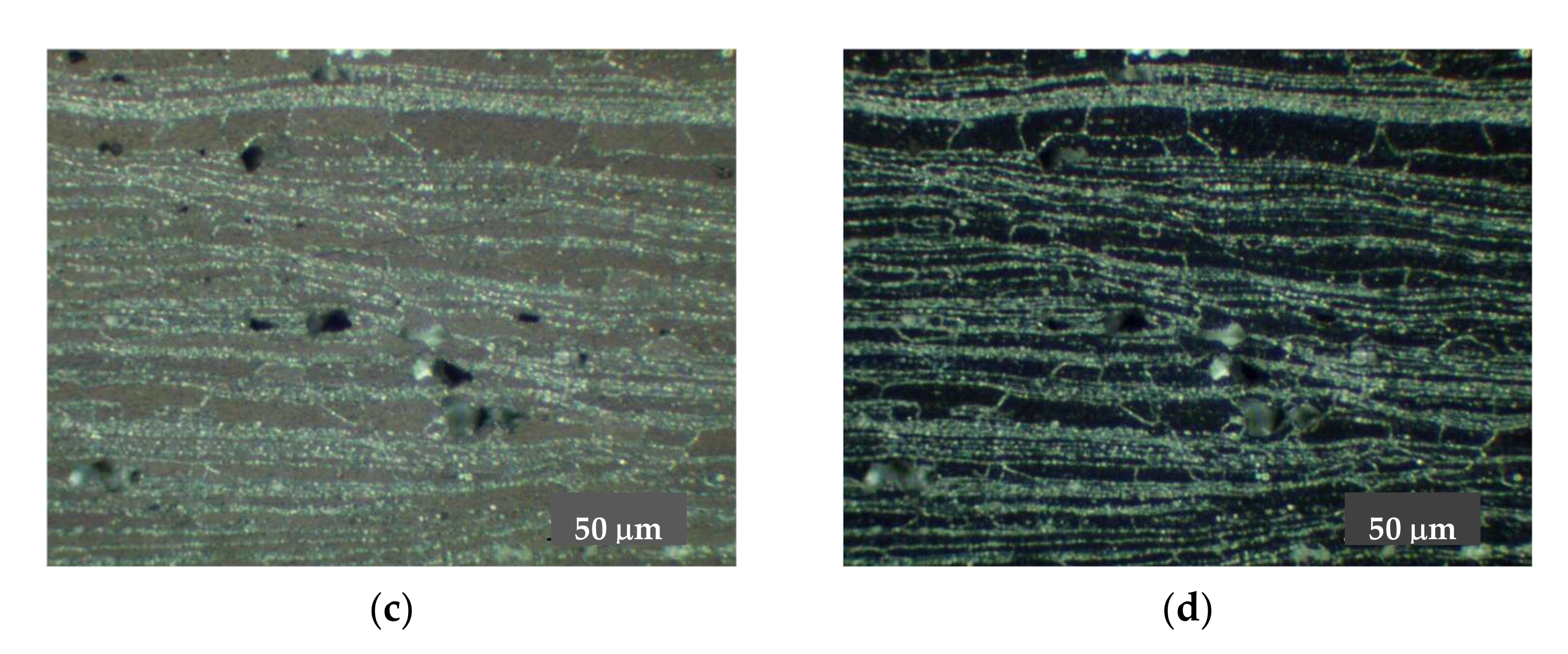 Materials 15 00348 g005b