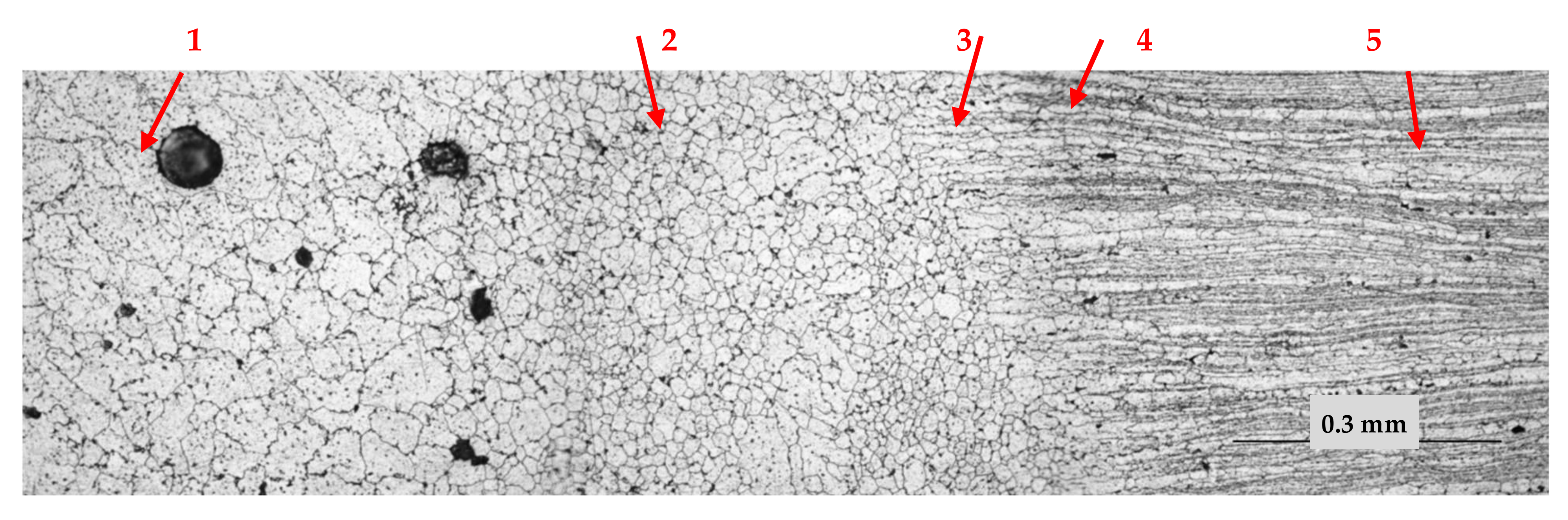 Materials 15 00348 g010