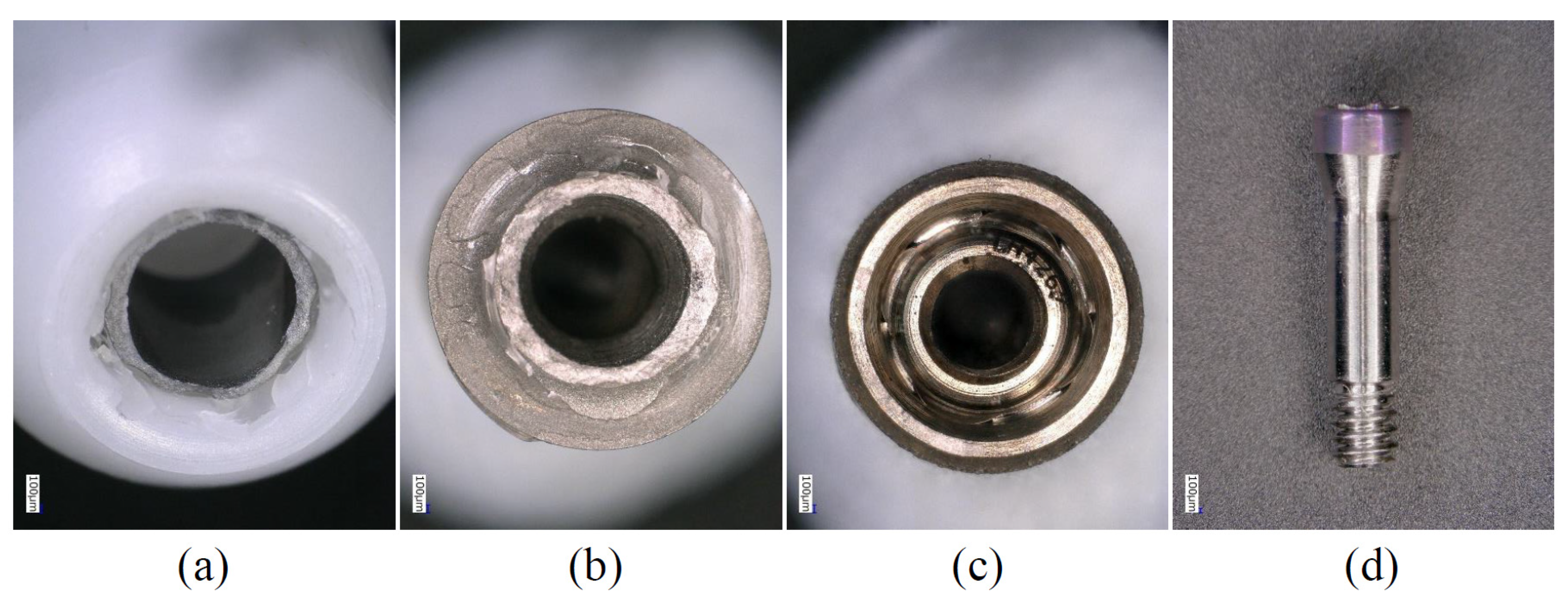 Materials 15 00364 g008