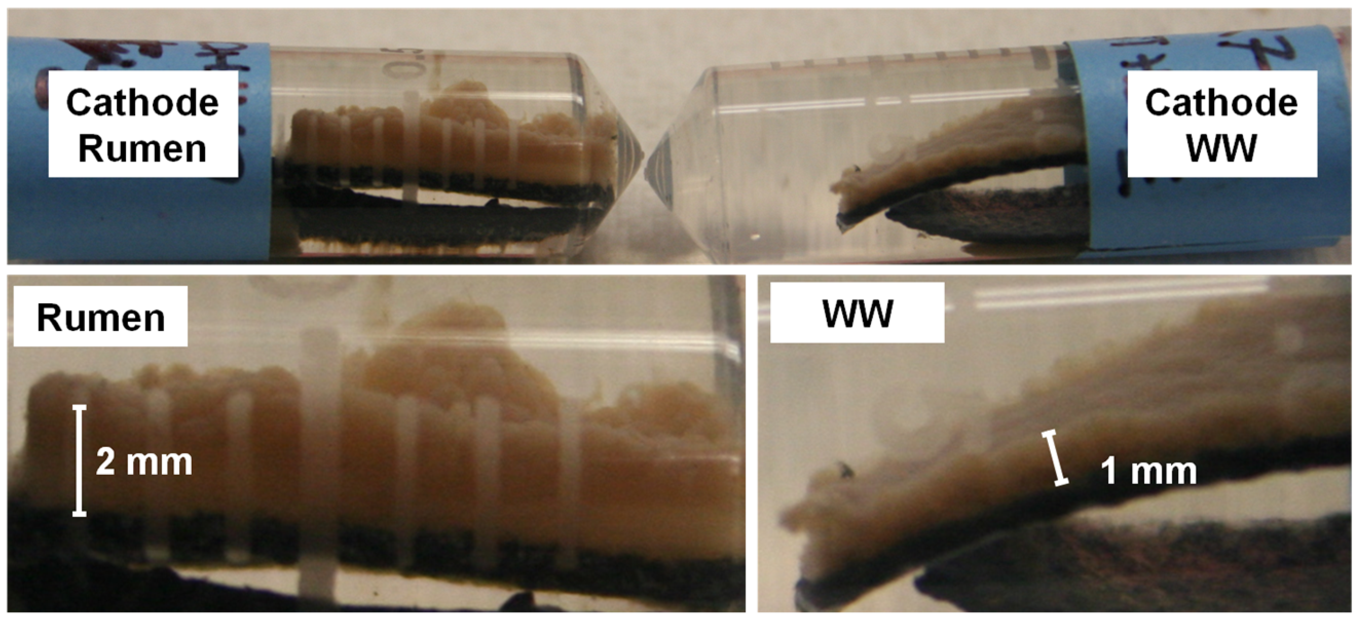 Materials 15 00379 g004