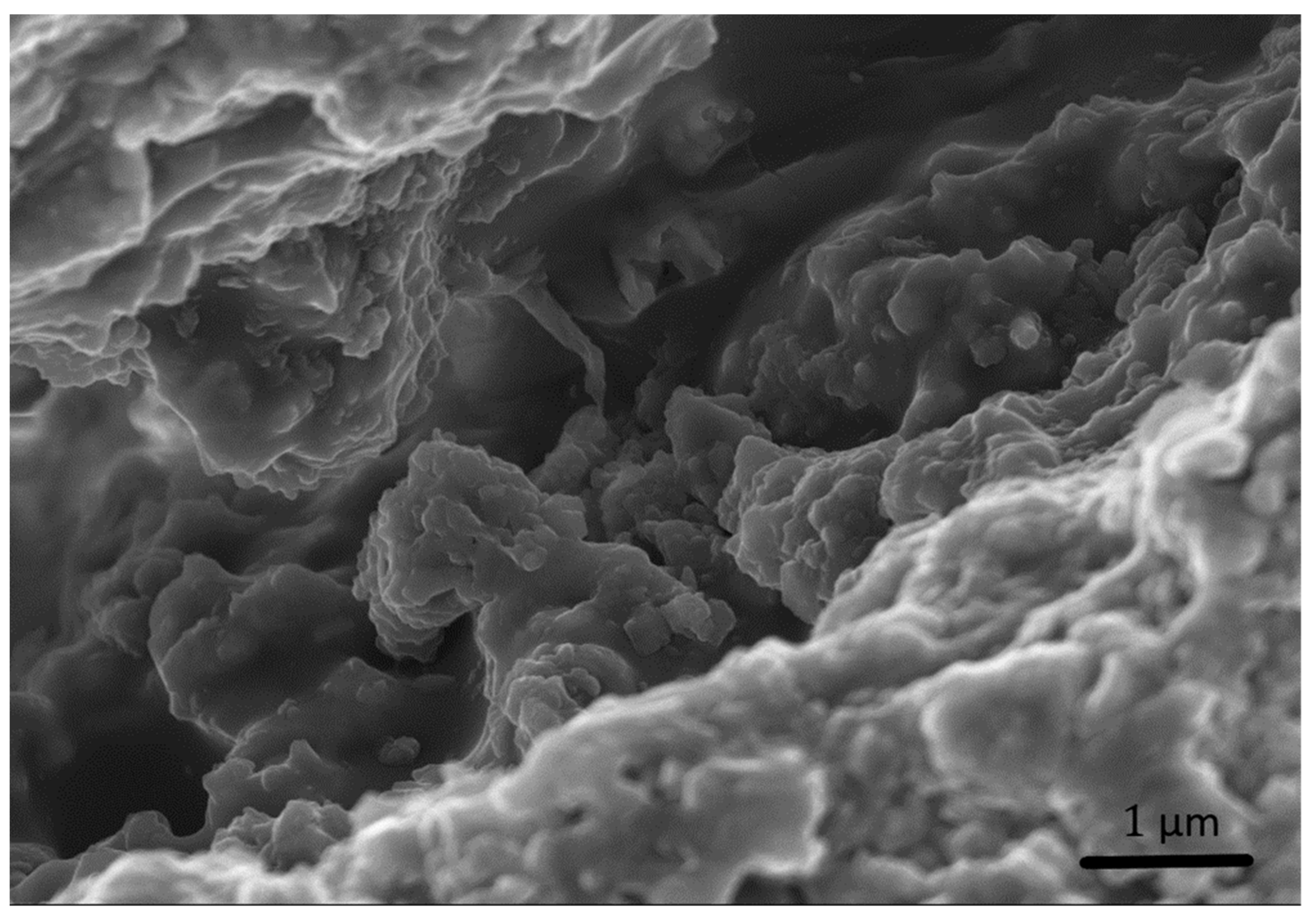 Materials 15 00459 g016