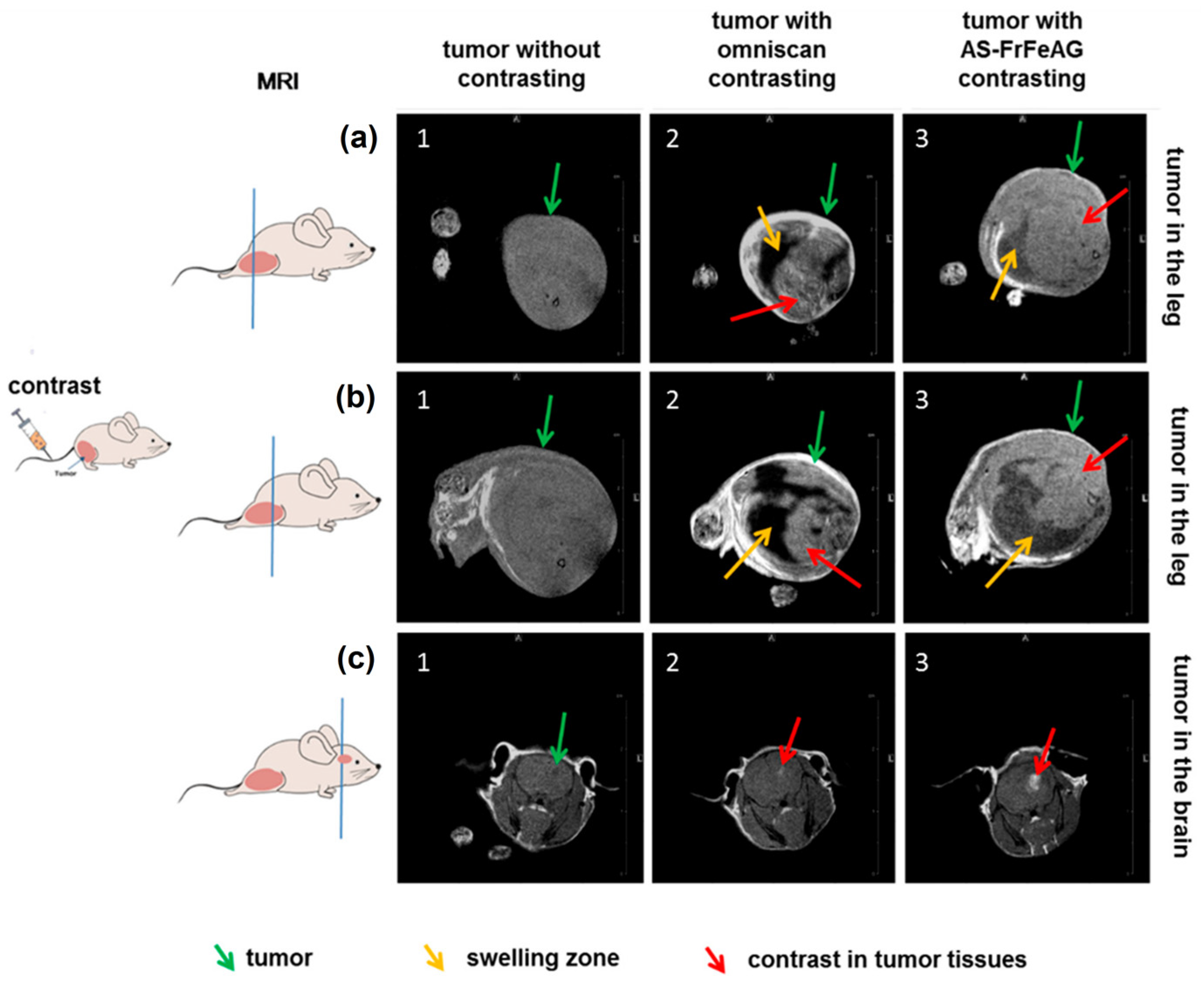 Materials 15 00503 g009