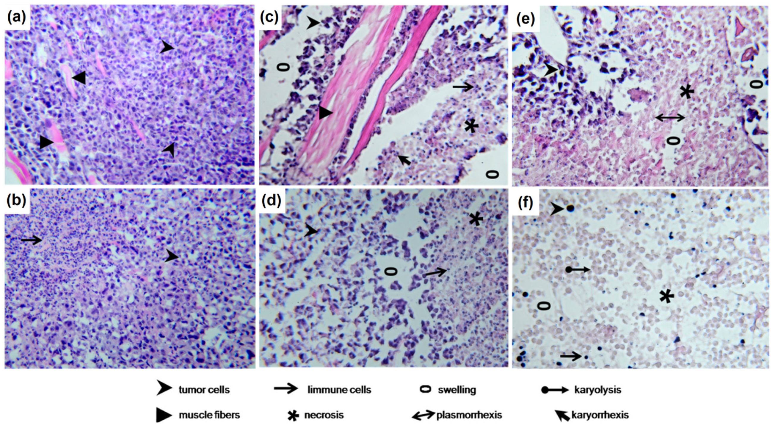 Materials 15 00503 g010