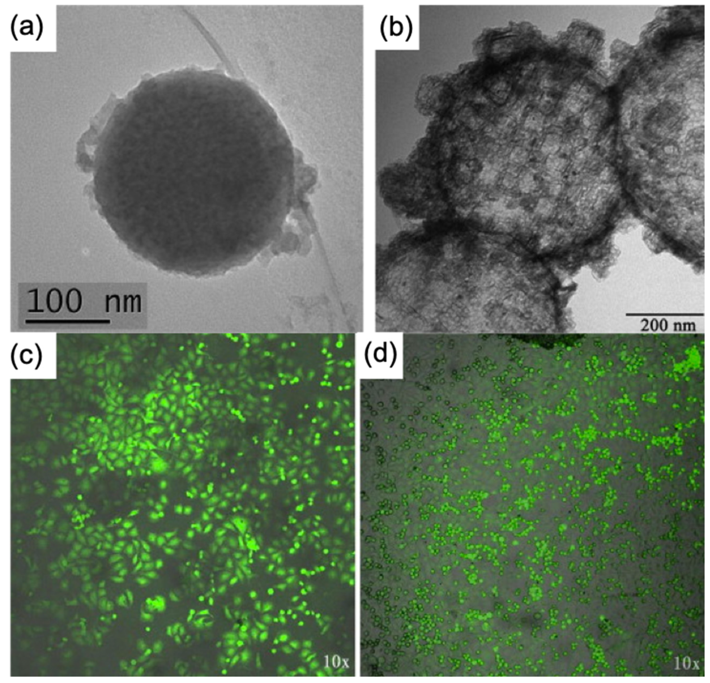 Materials 15 00503 g020