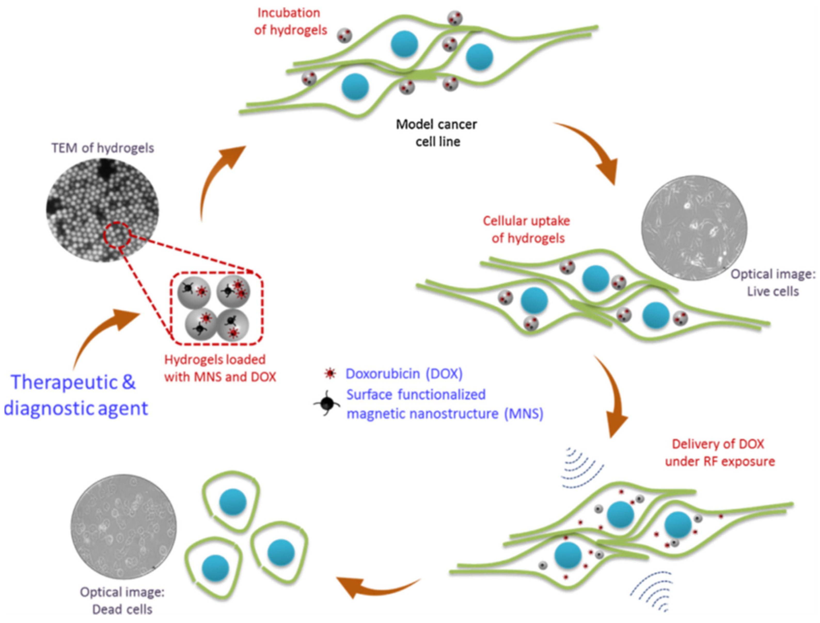 Materials 15 00503 g025