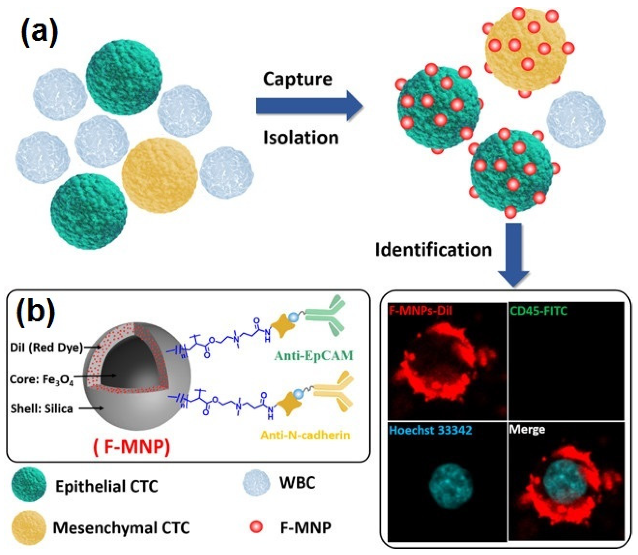 Materials 15 00503 g029
