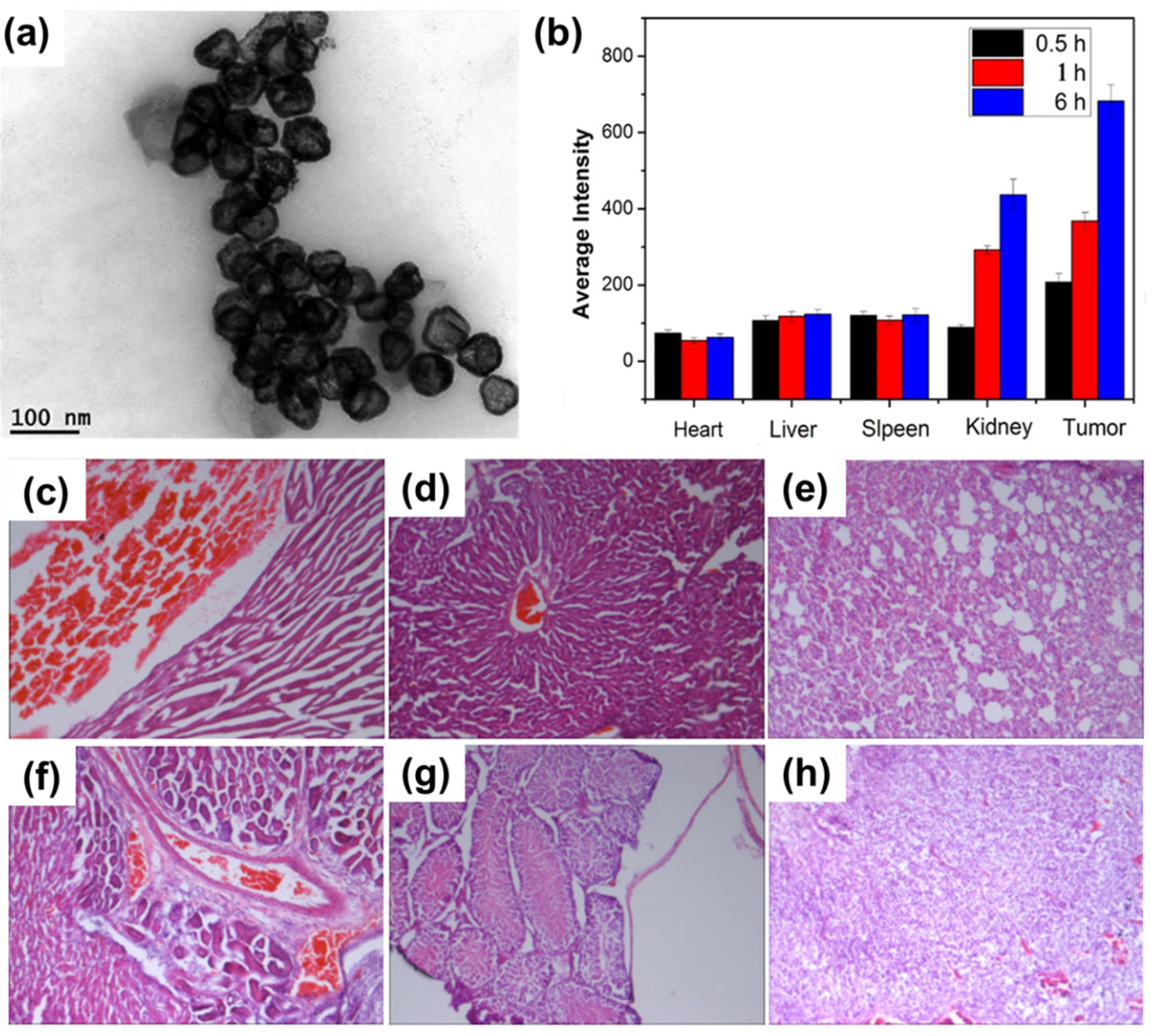 Materials 15 00503 g032