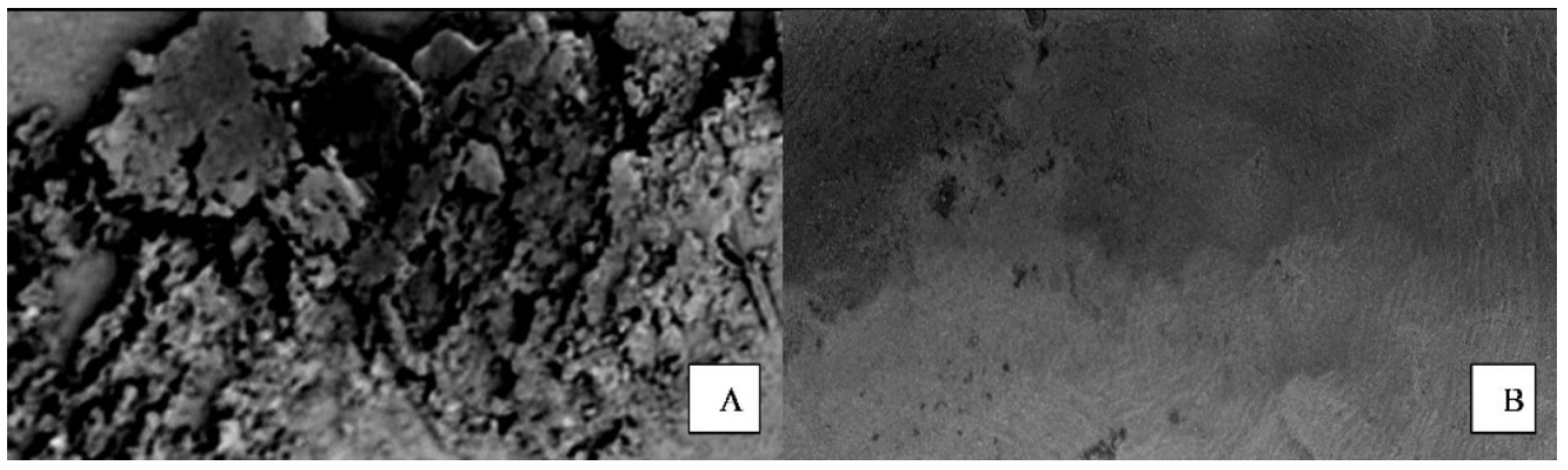 Materials 15 00514 g004