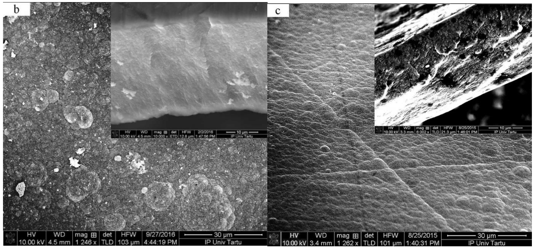 Materials 15 00540 g001b