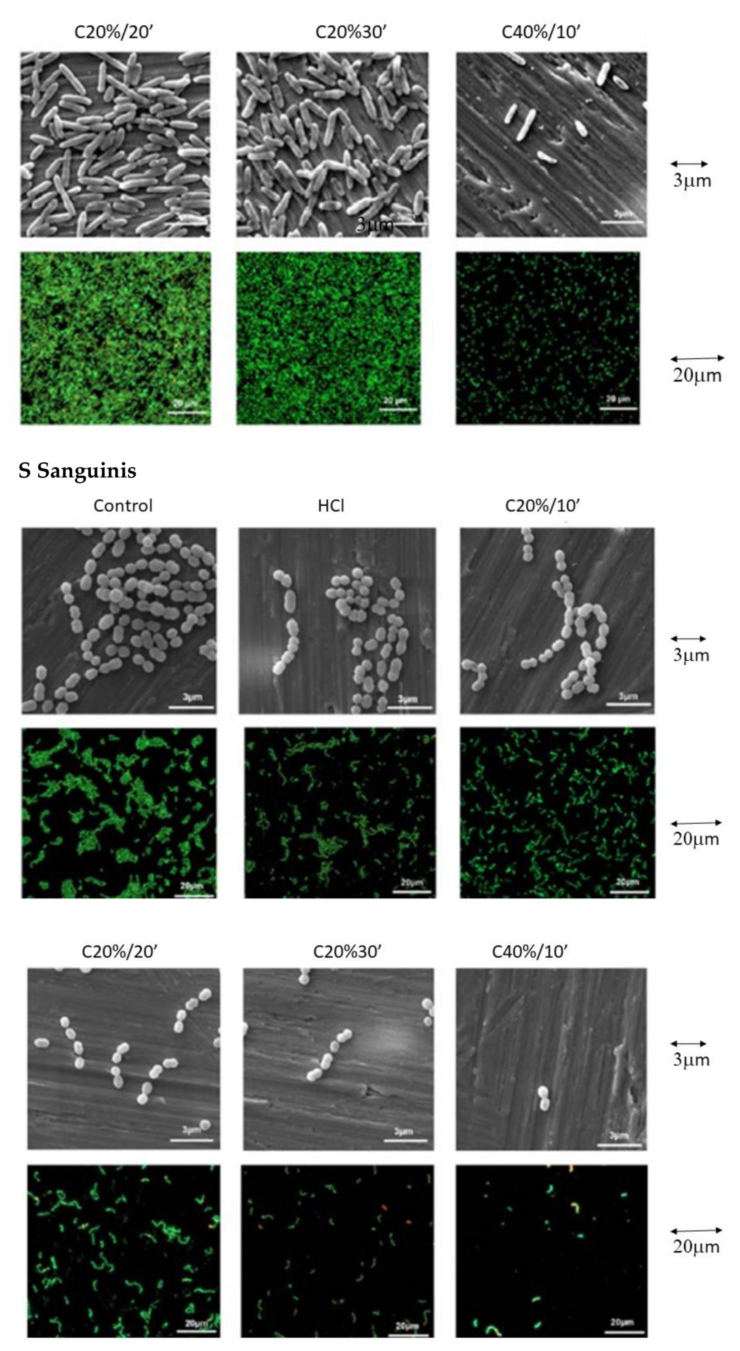 Materials 15 00545 g007b