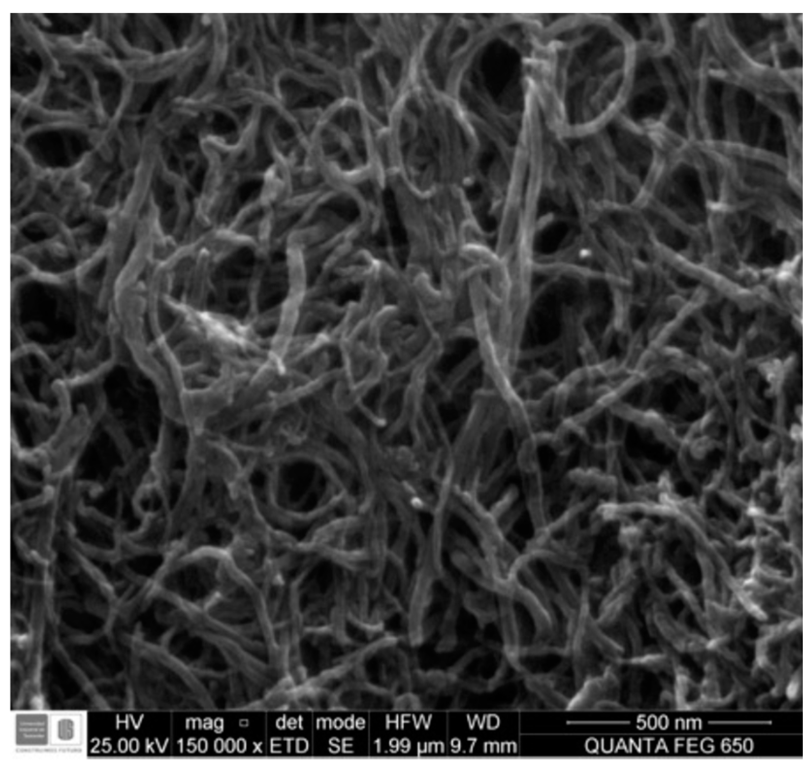 Materials 15 00556 g001