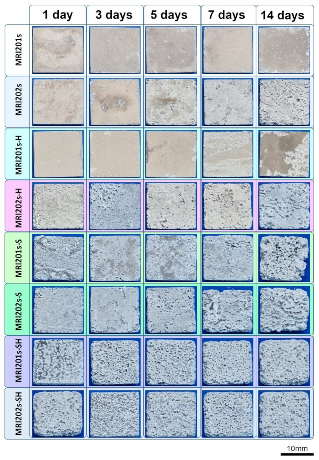 Materials 15 00566 g010