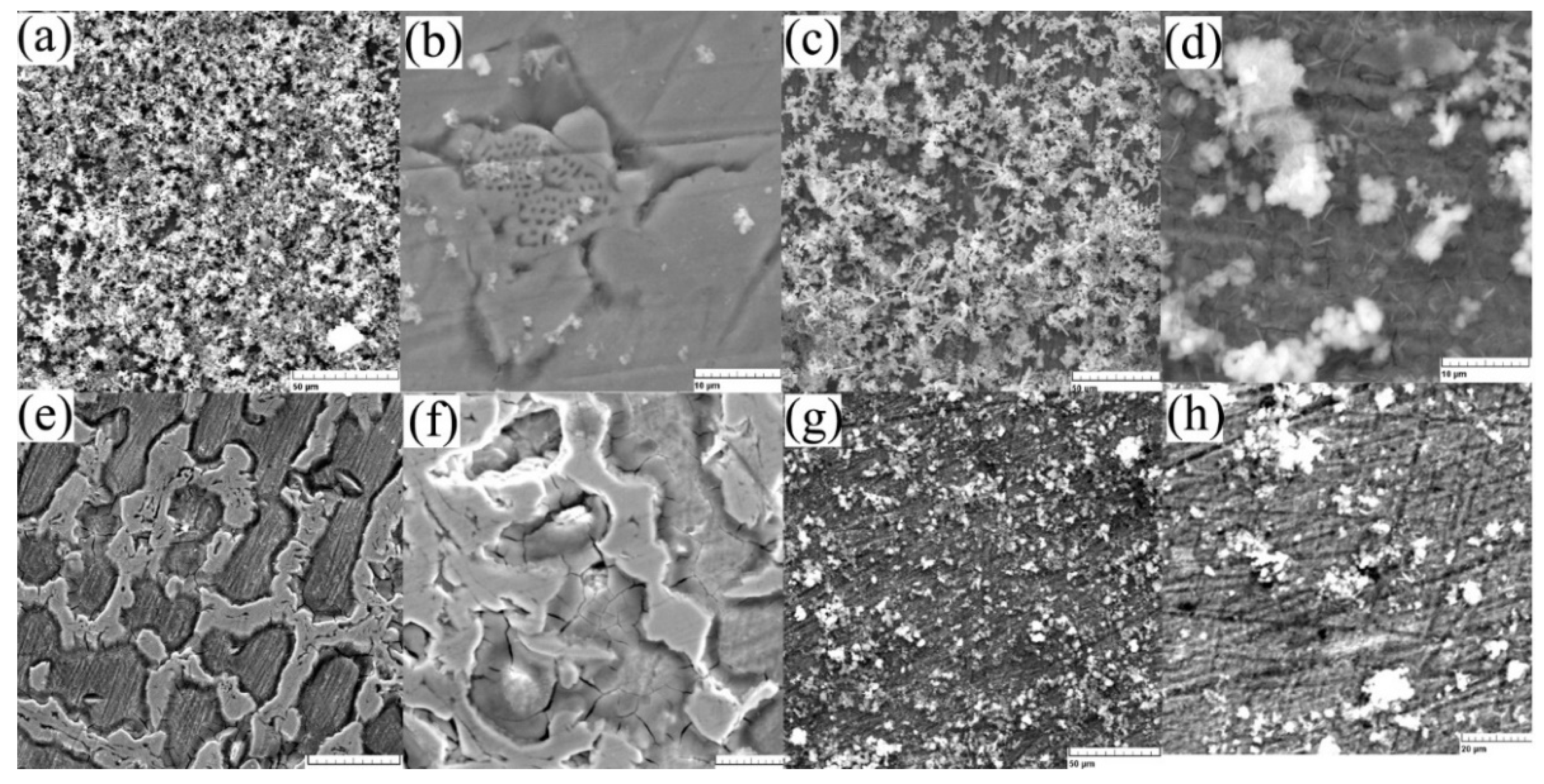 Materials 15 00568 g005