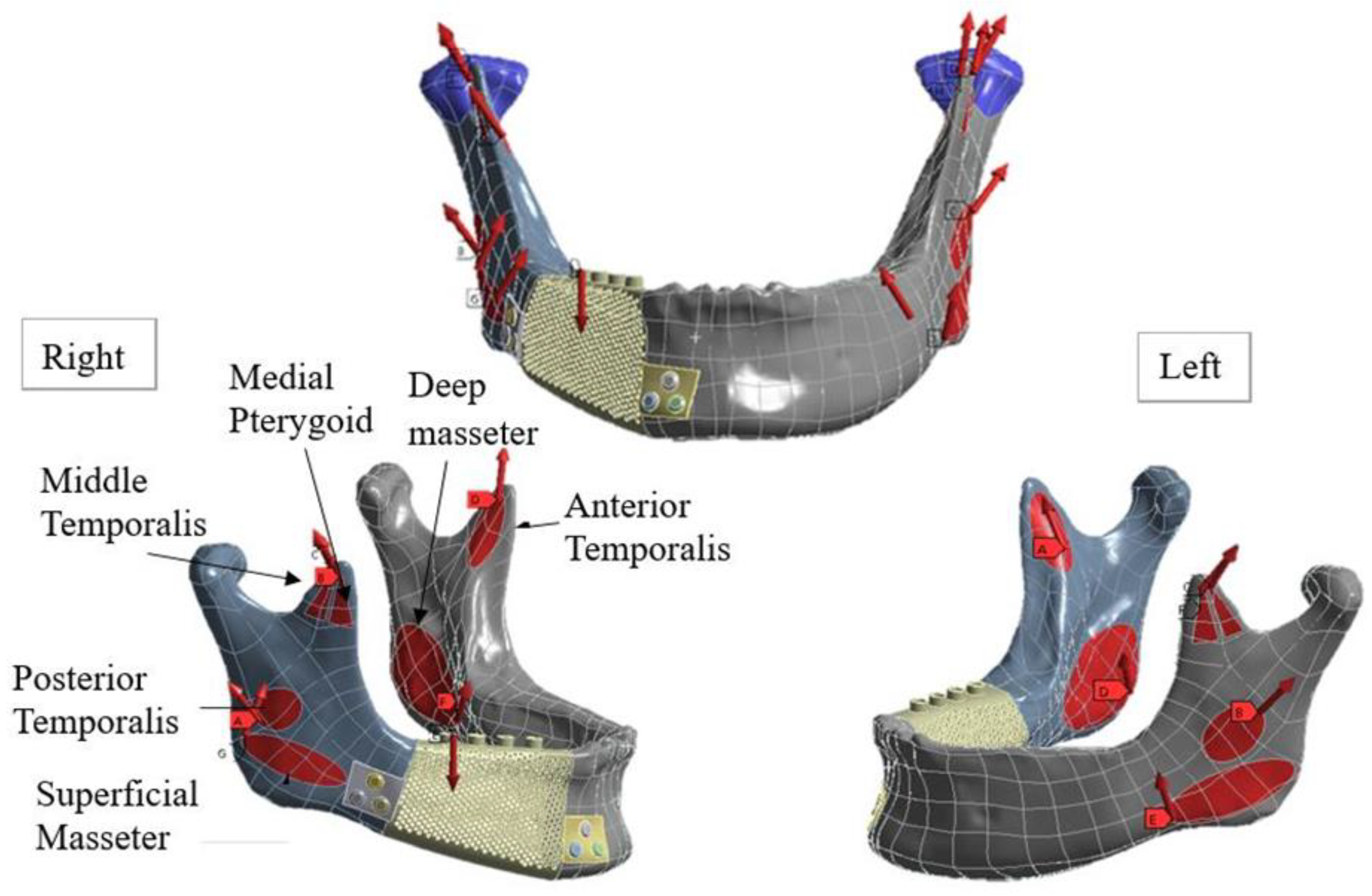 Materials 15 00576 g003
