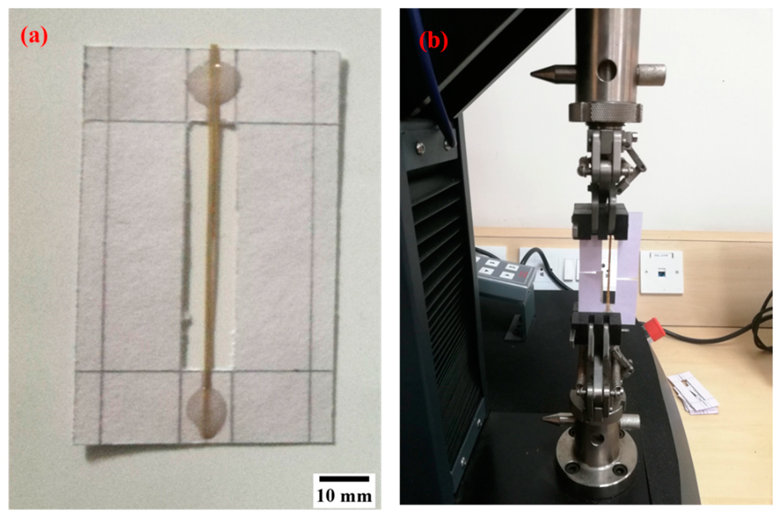 Materials 15 00606 g003