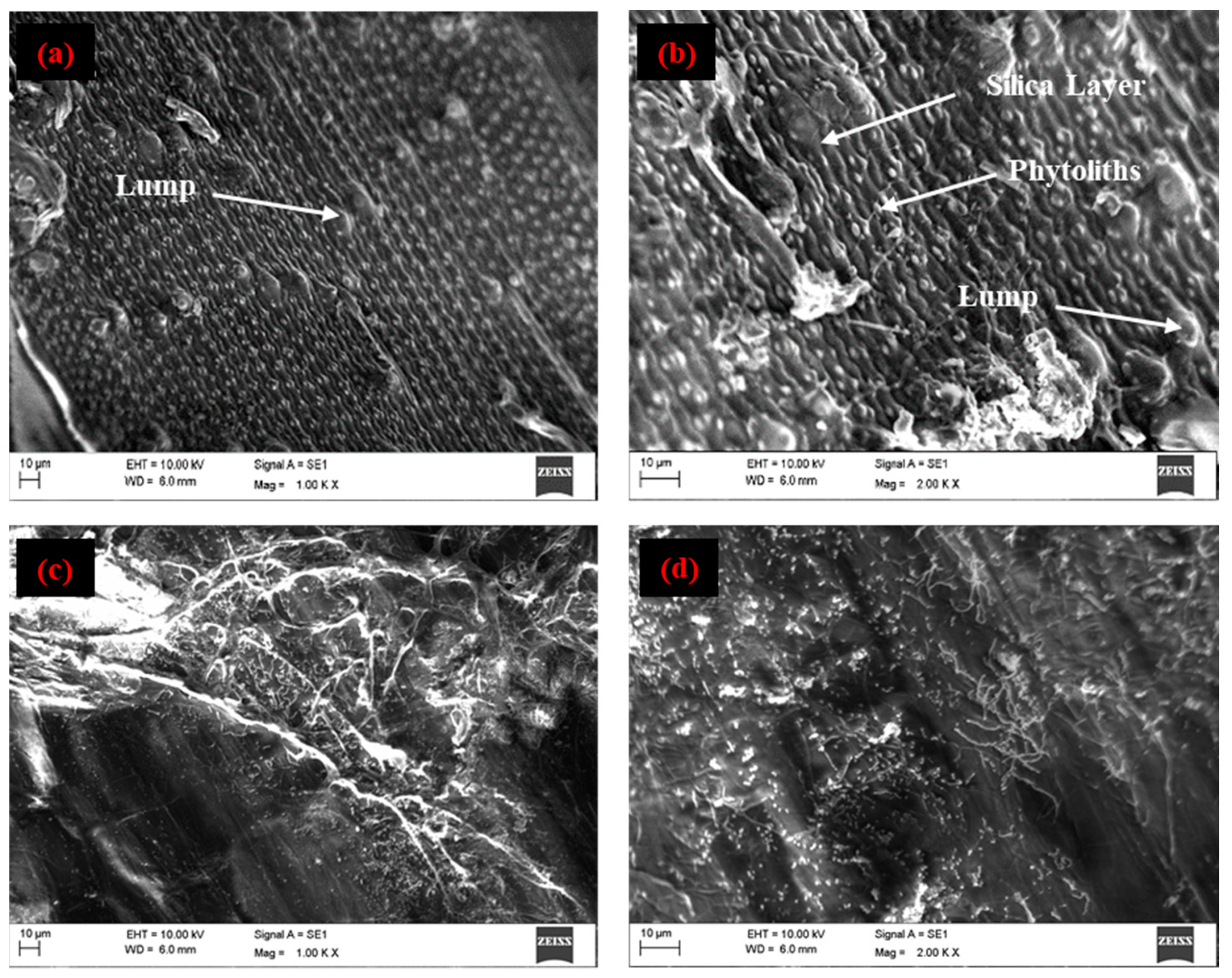 Materials 15 00606 g004