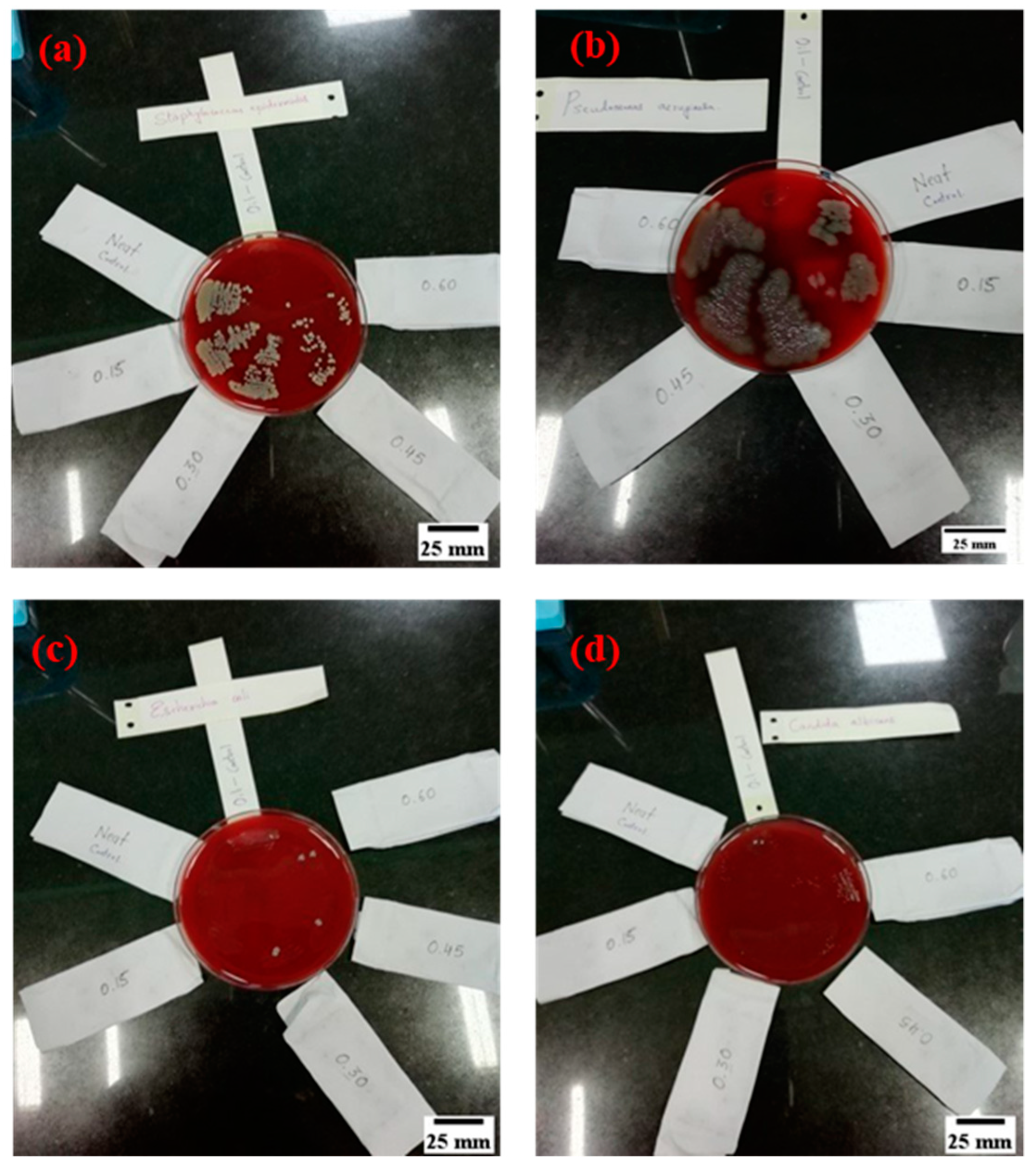 Materials 15 00606 g017