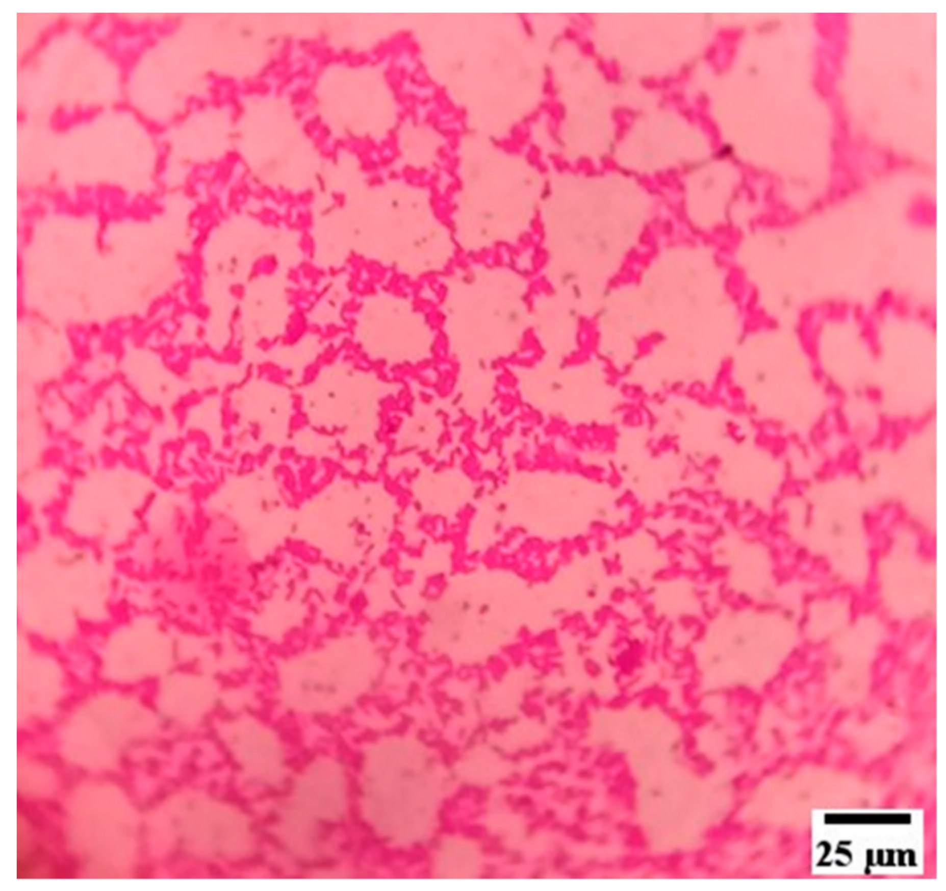 Materials 15 00606 g018