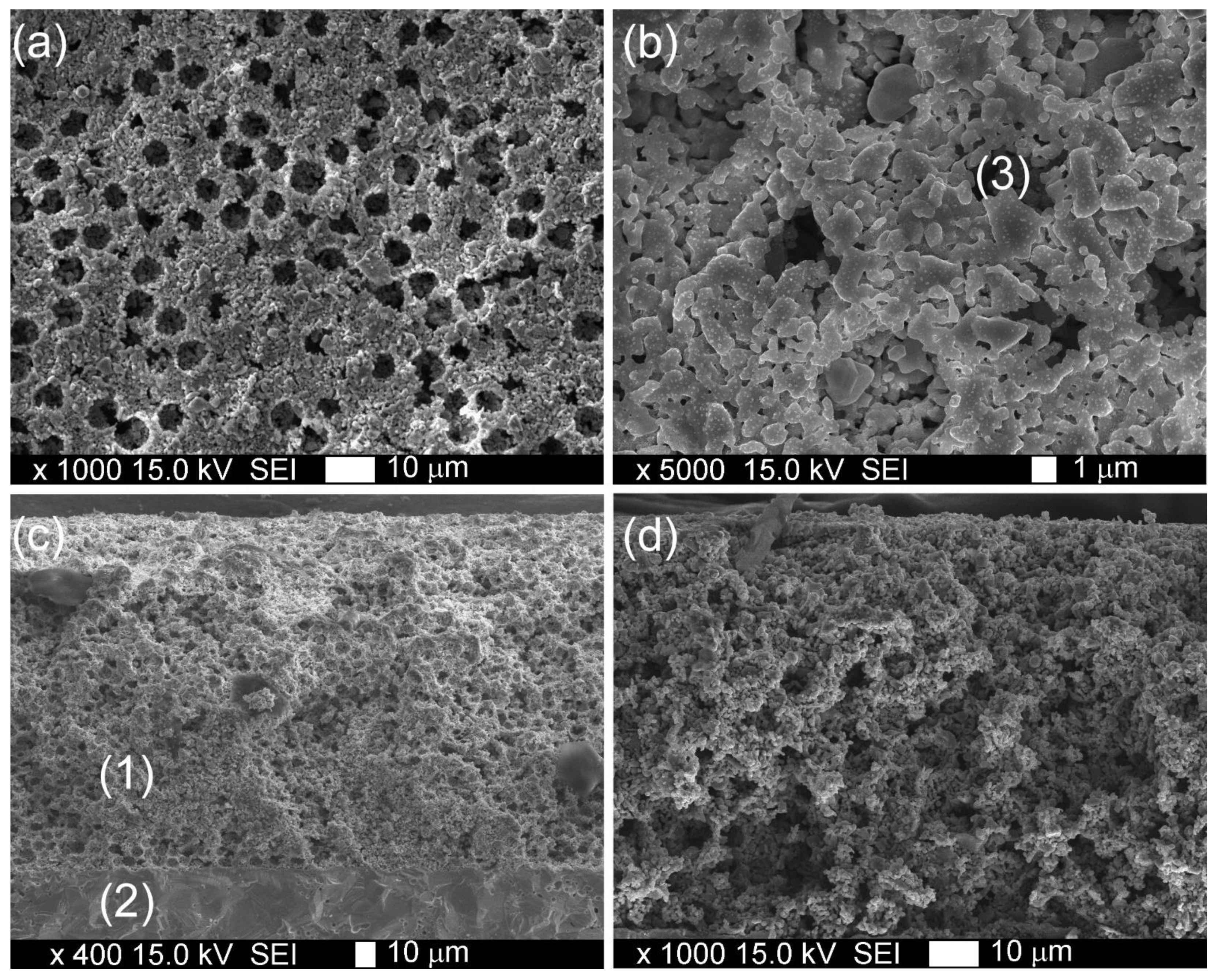 Materials 15 00642 g004 Materials 15 00642 g004