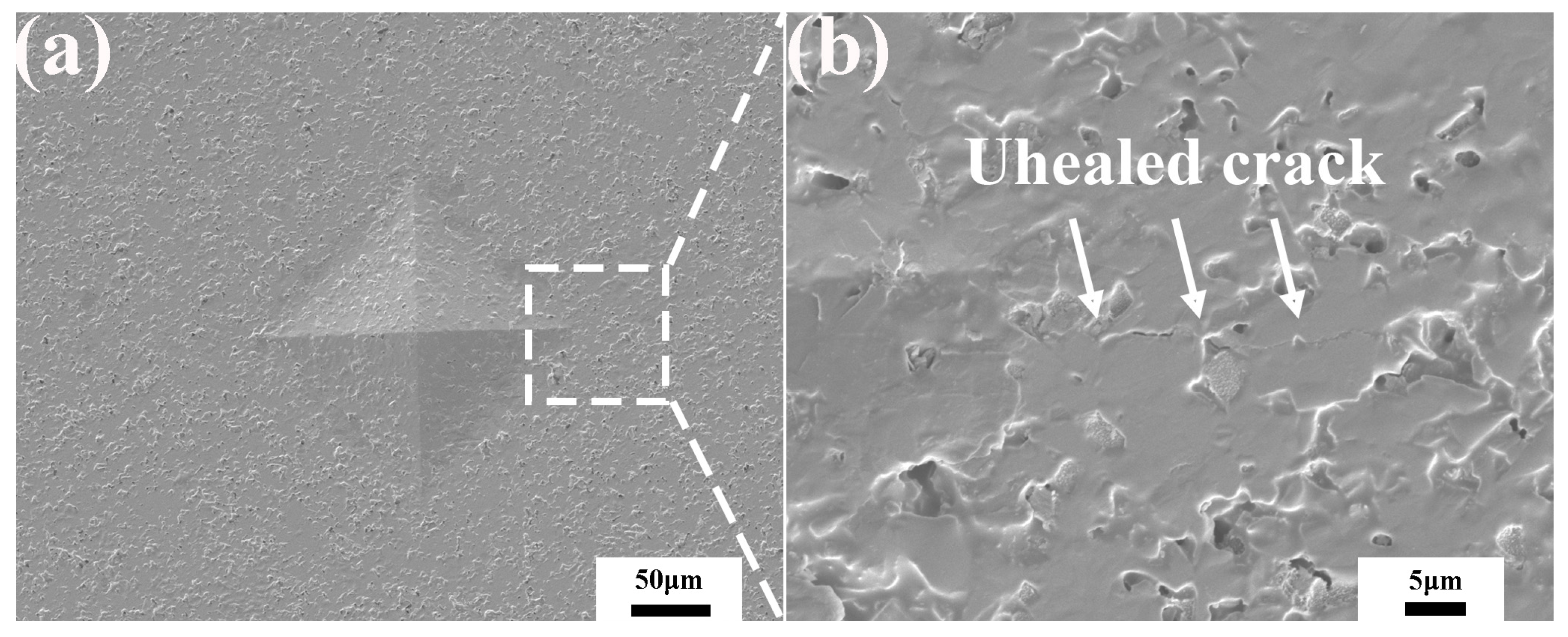 Materials 15 00652 g003a