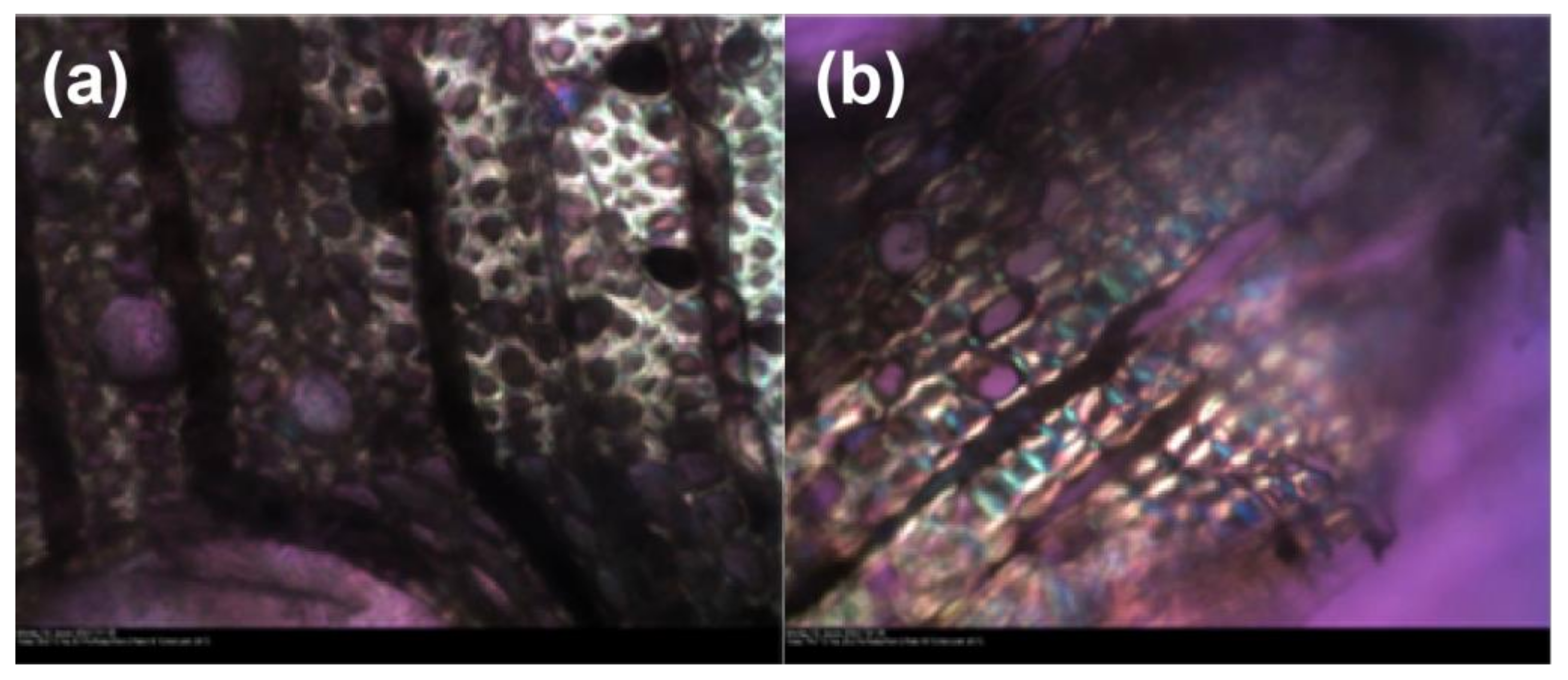 Materials 15 00681 g0a1