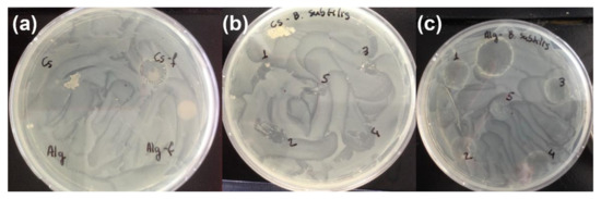 Materials 15 00681 g0a4 550