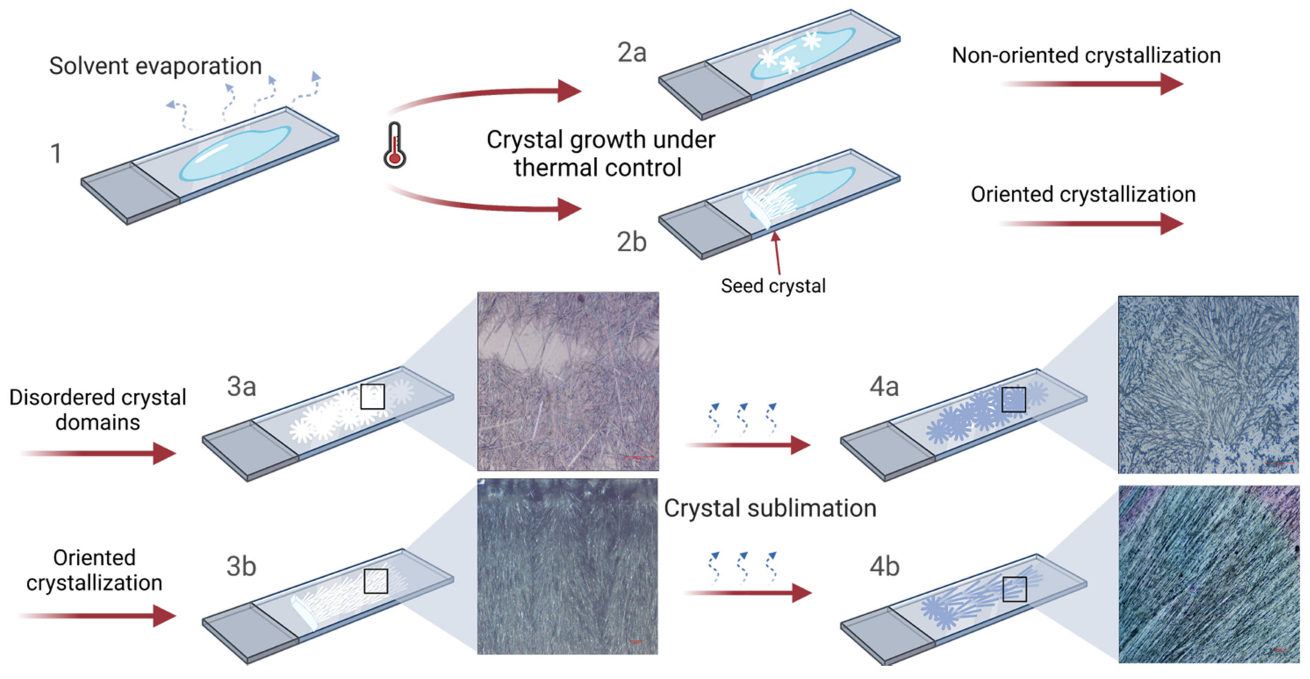 Materials 15 00687 g004