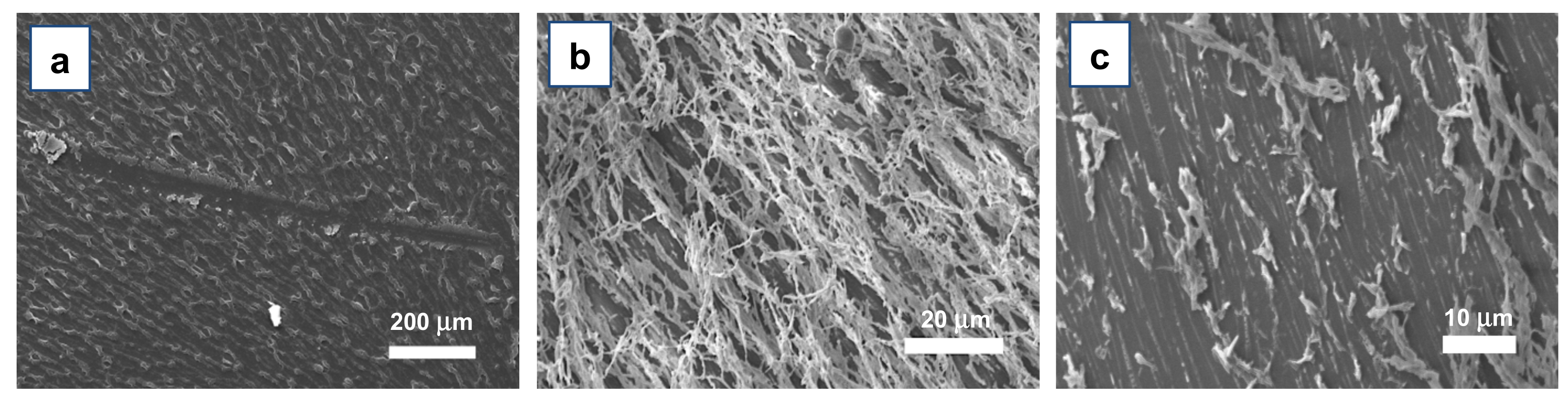 Materials 15 00687 g006