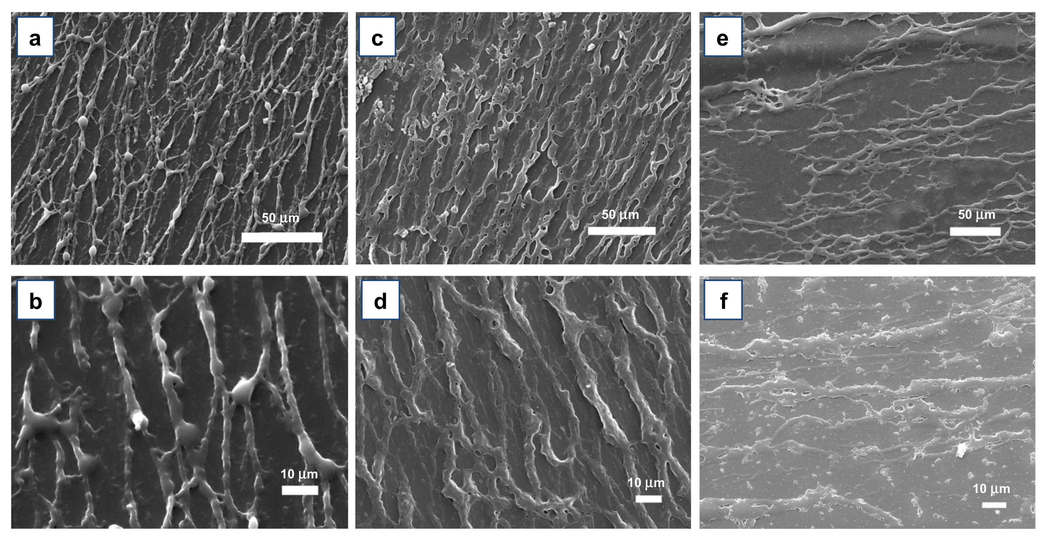 Materials 15 00687 g007