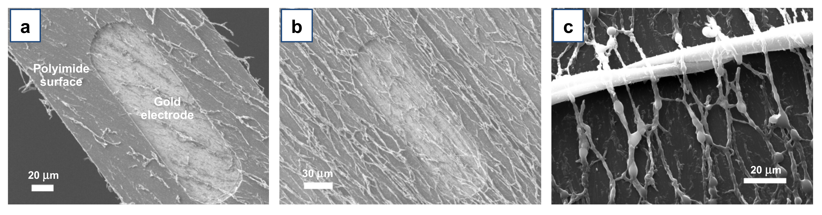 Materials 15 00687 g008