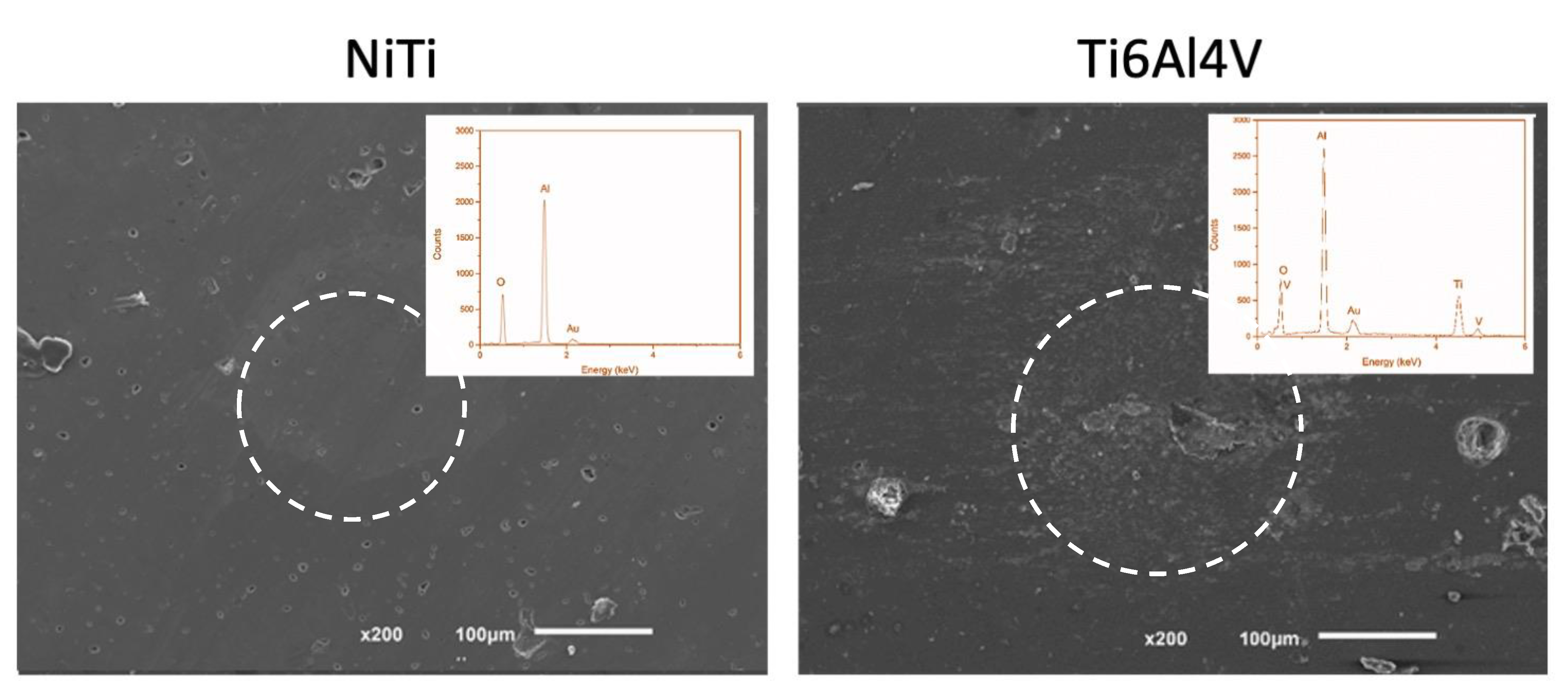 Materials 15 00691 g008