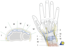 Materials 15 00694 i001