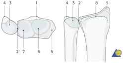 Materials 15 00694 i002