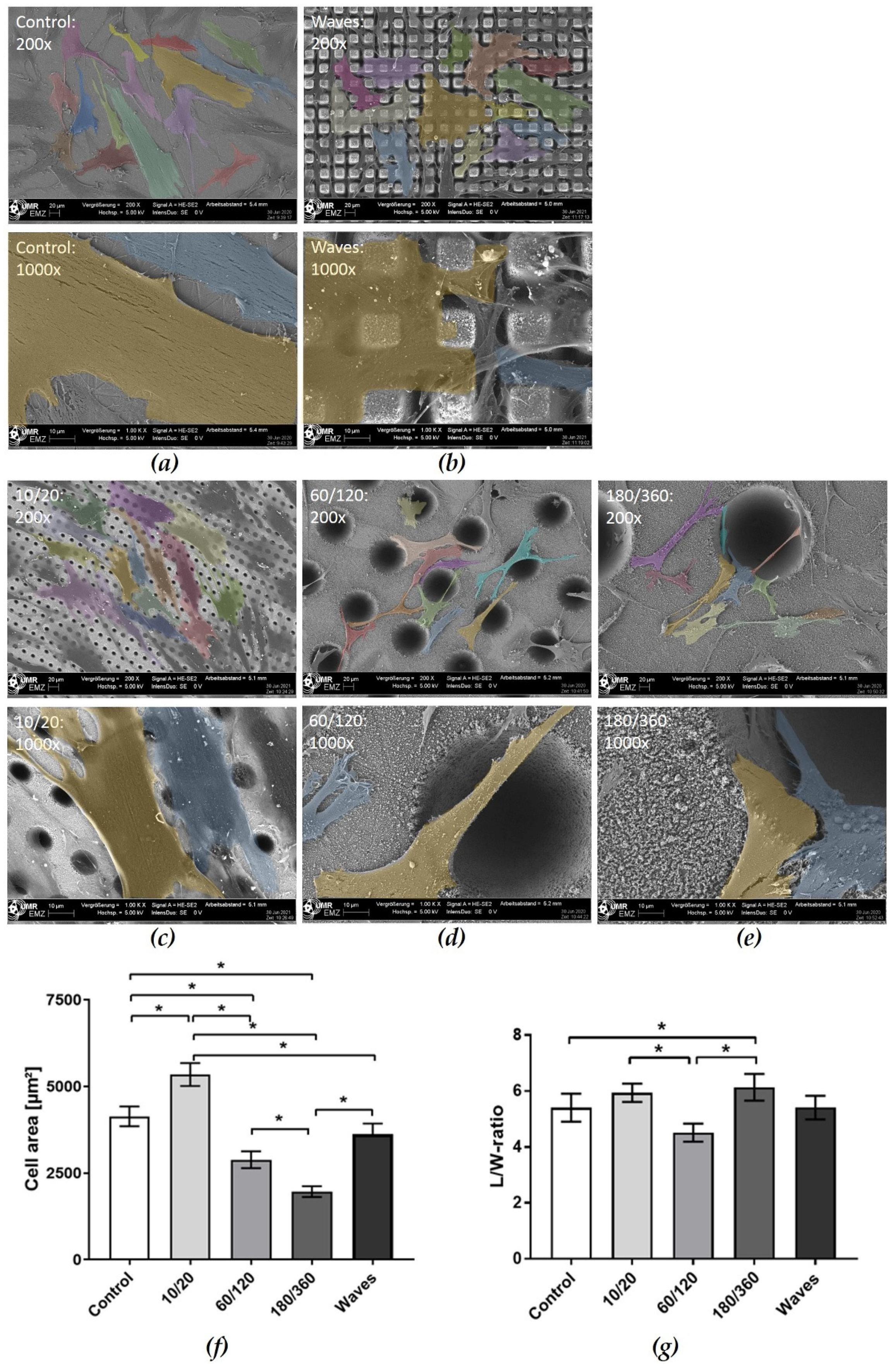 Materials 15 00732 g003