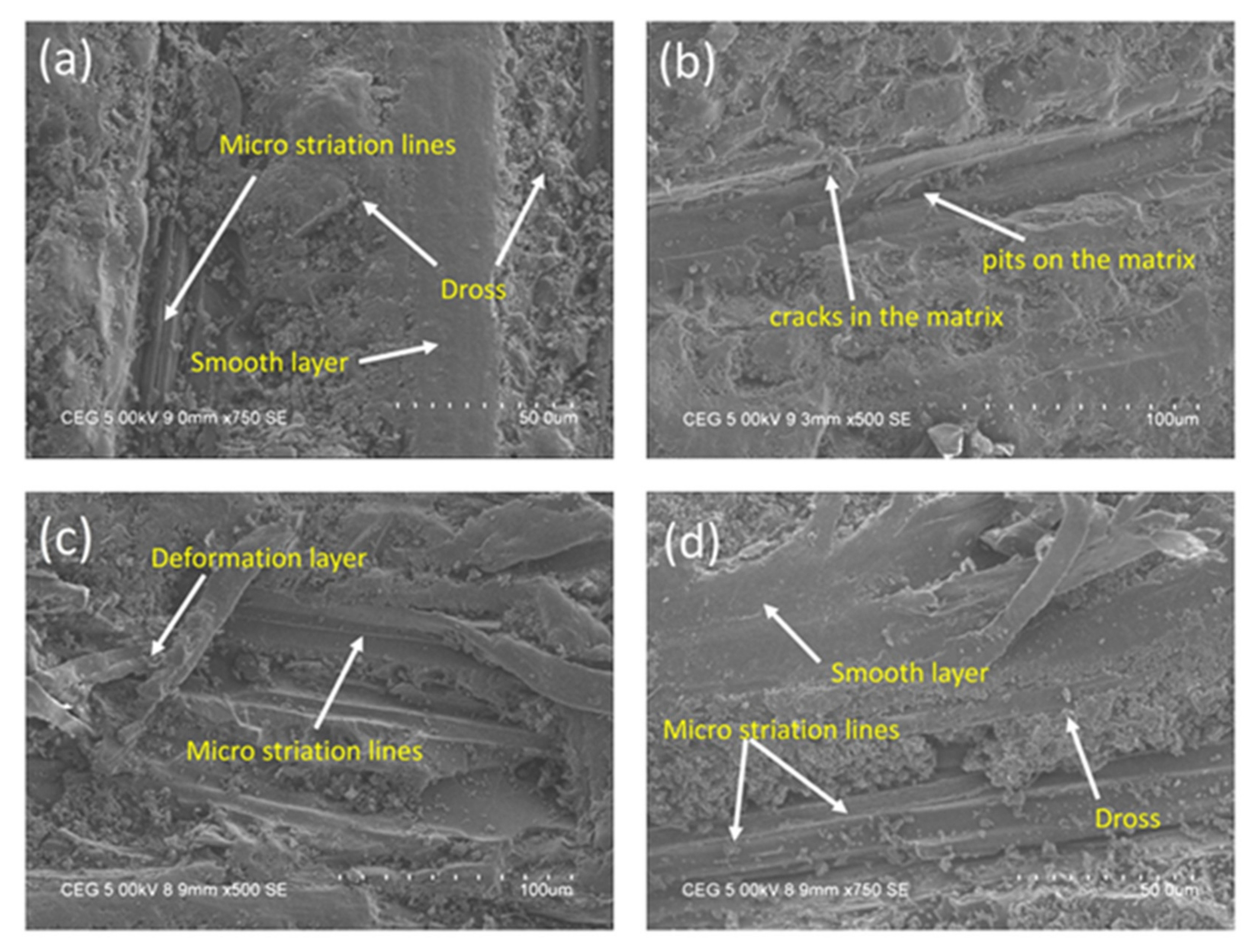 Materials 15 00749 g008