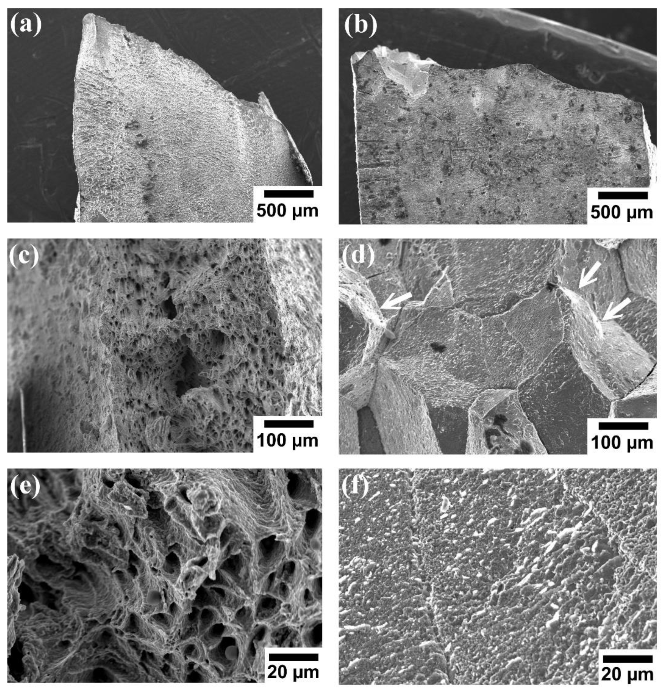 Materials 15 00751 g005