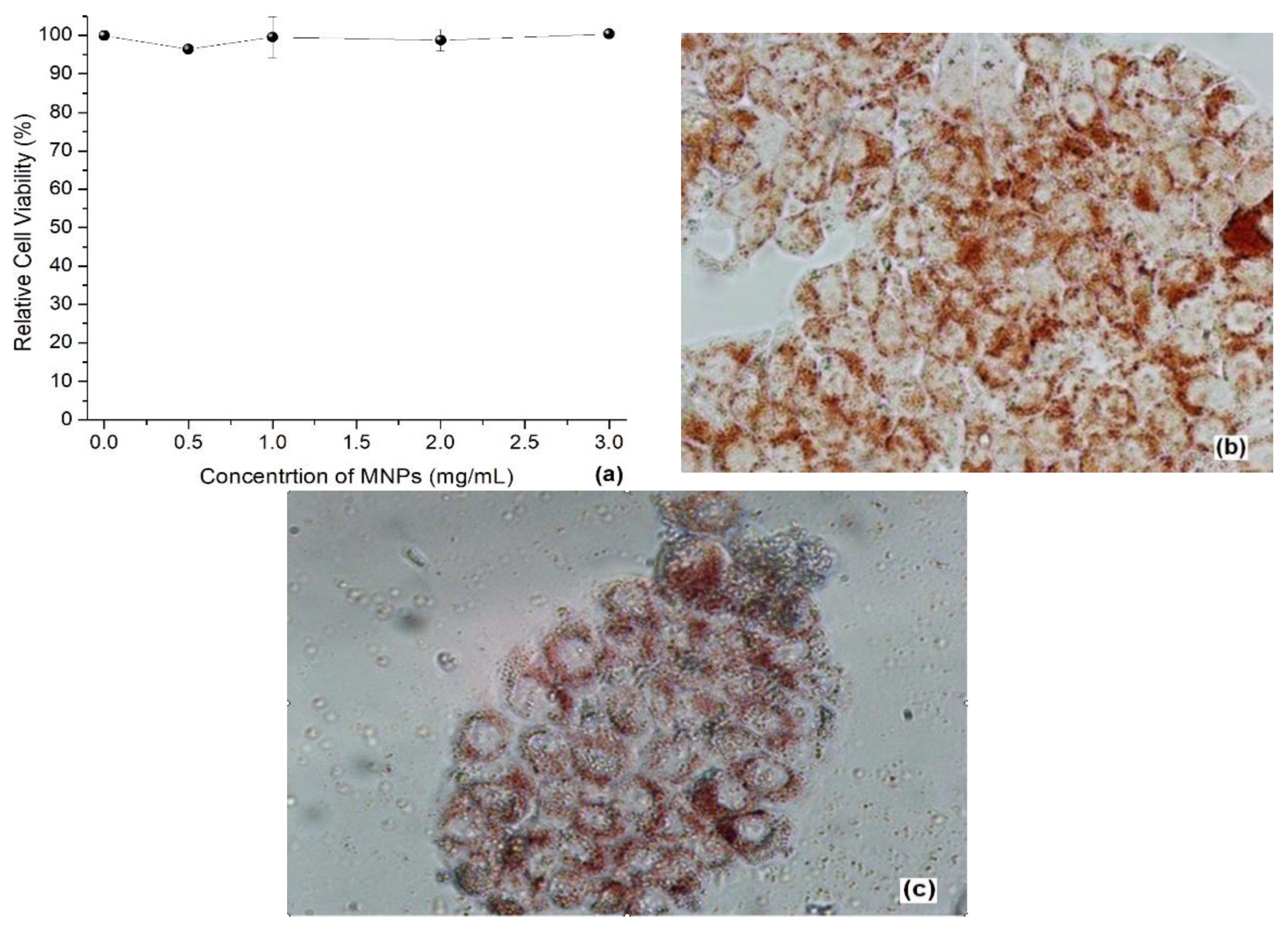 Materials 15 00788 g008