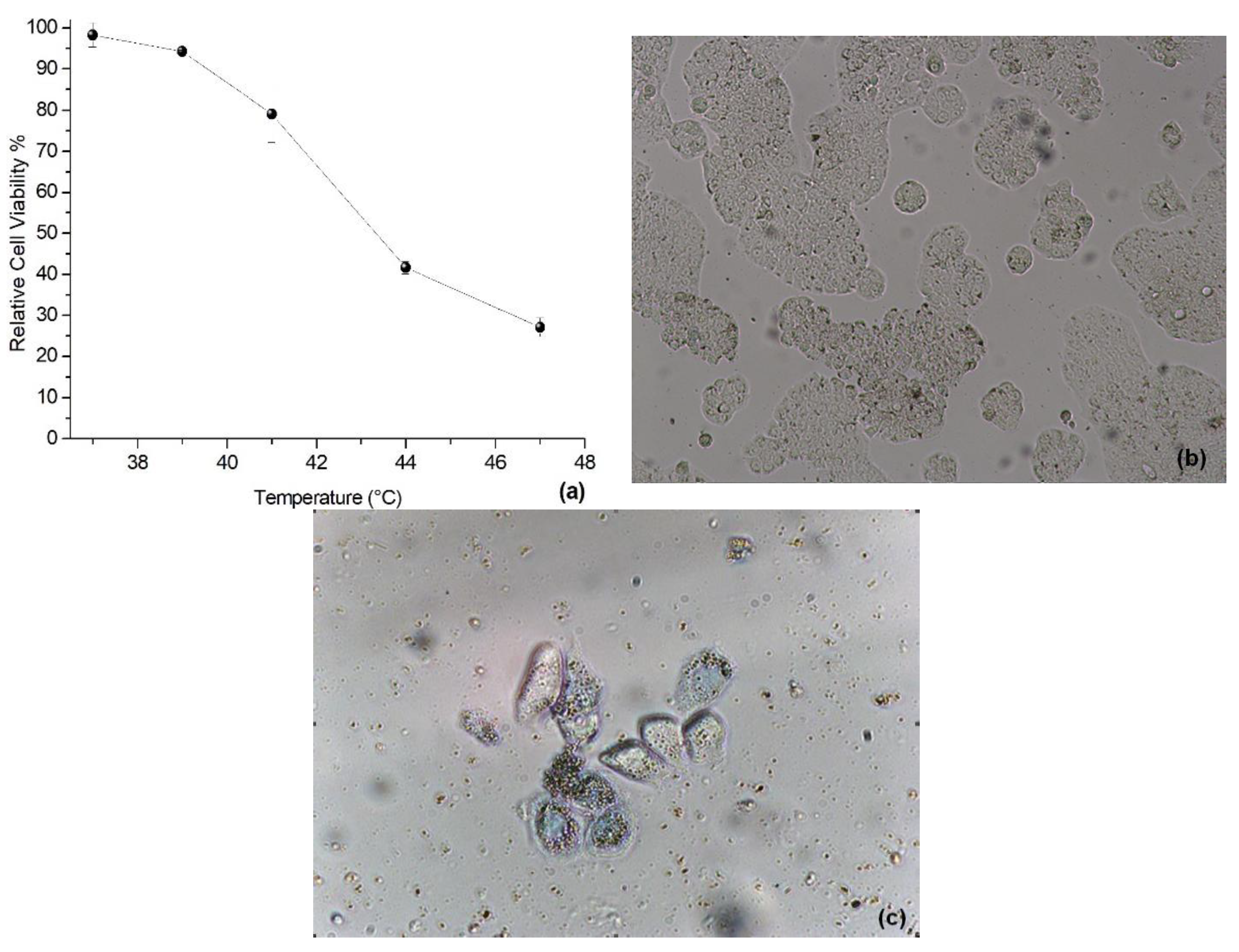 Materials 15 00788 g009