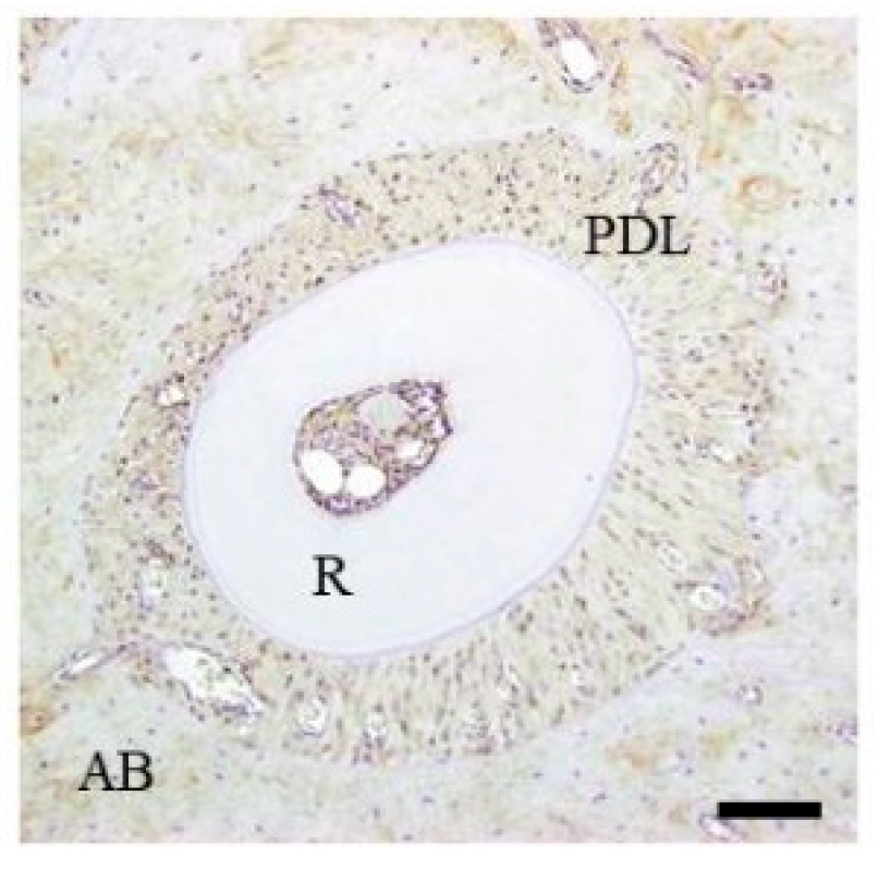 Materials 15 00809 g001