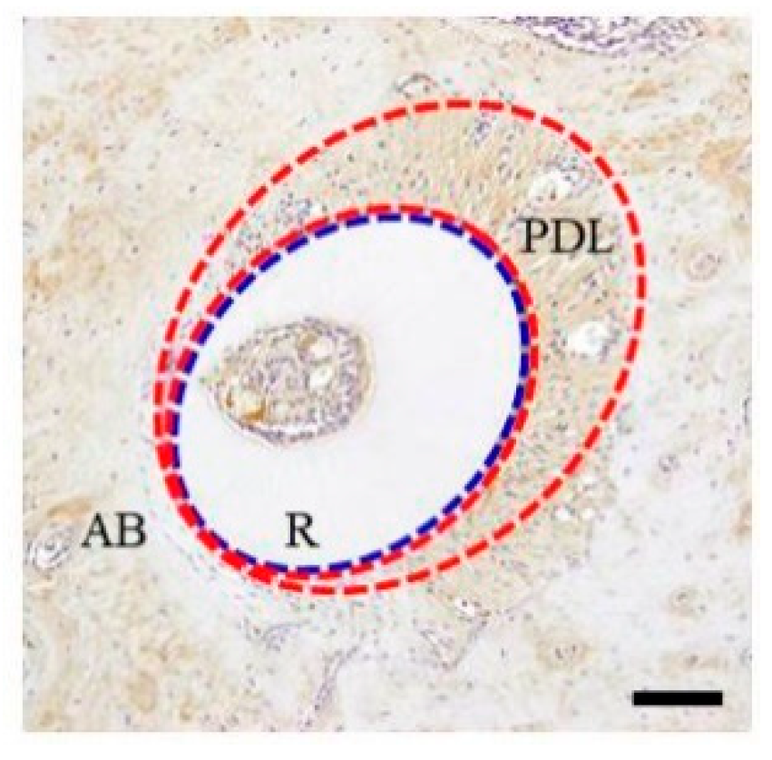 Materials 15 00809 g002