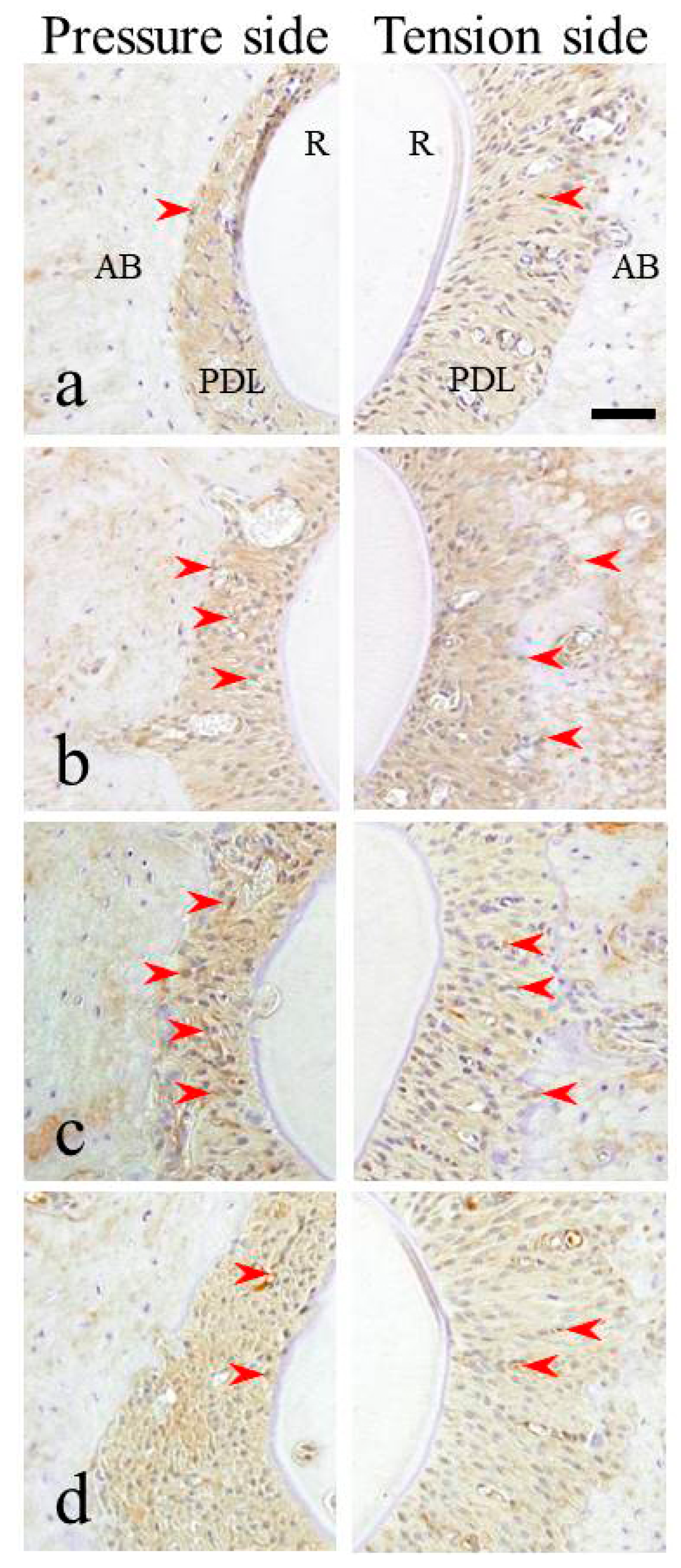 Materials 15 00809 g003