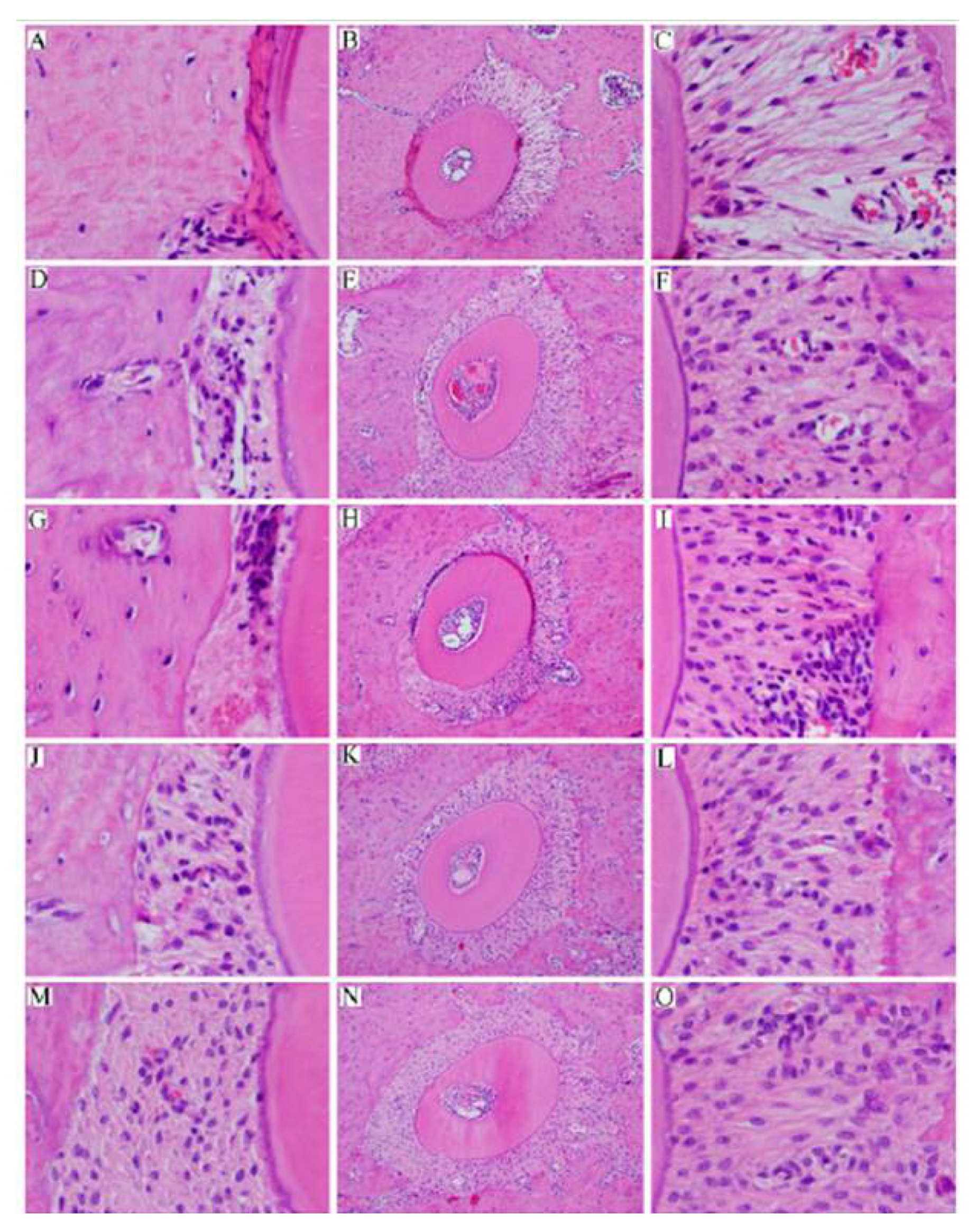 Materials 15 00809 g0a2