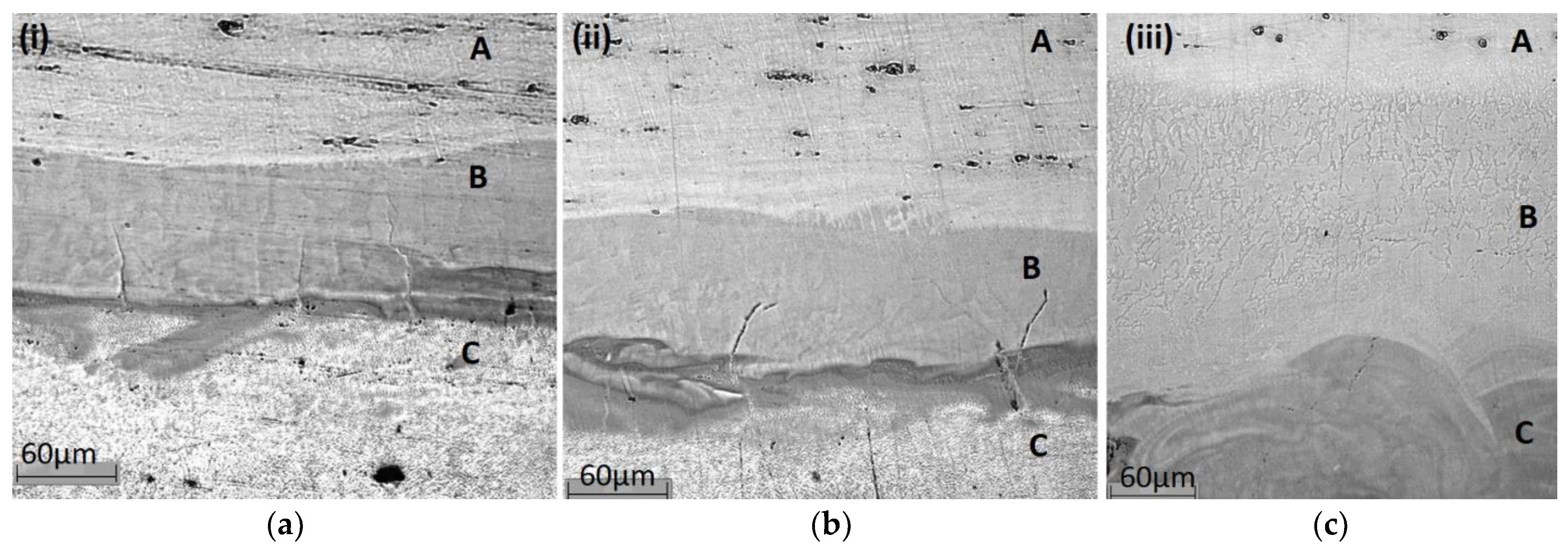 Materials 15 00825 g003