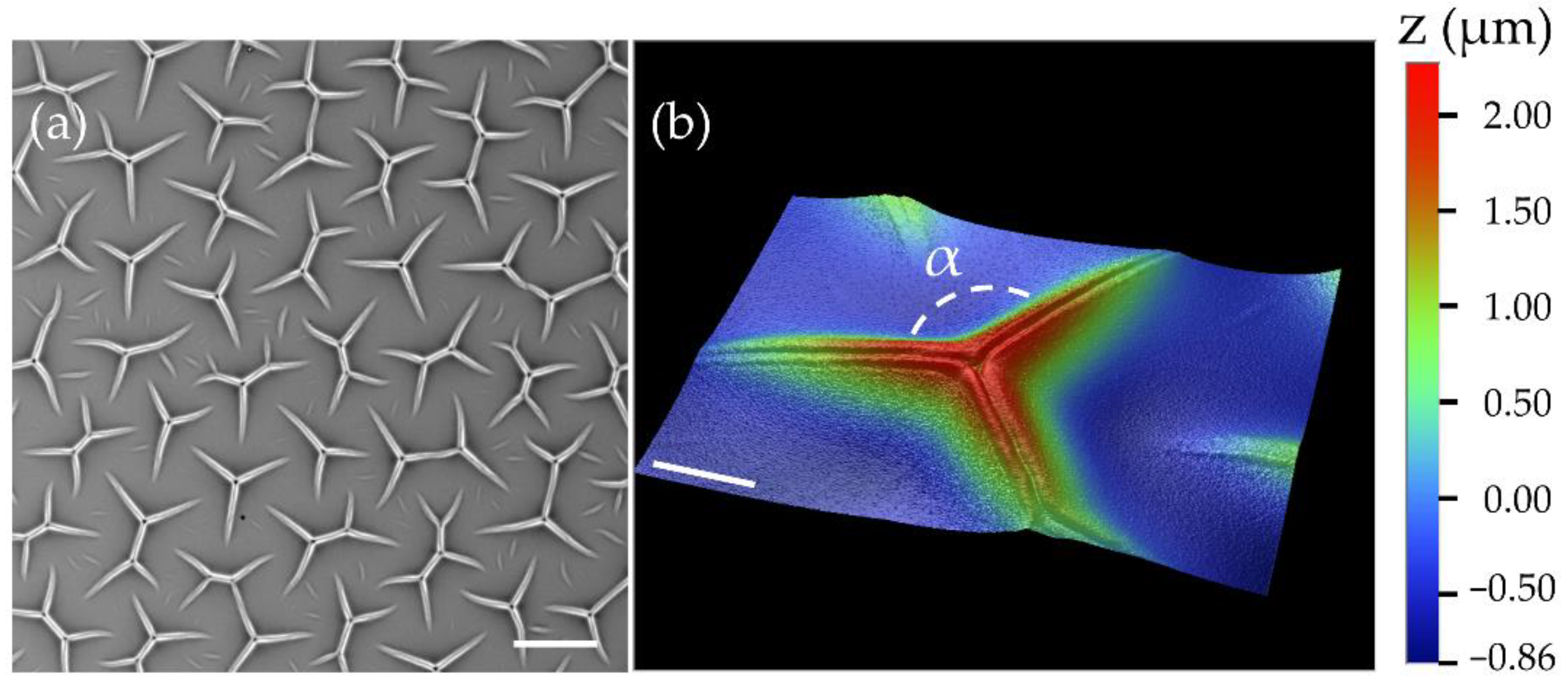 Materials 15 00852 g001