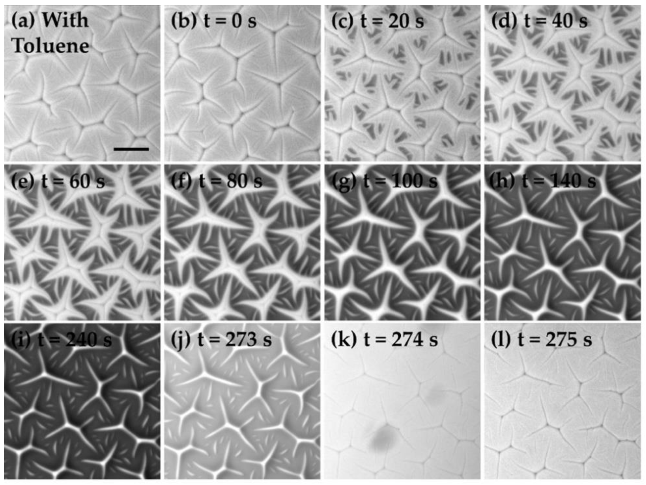 Materials 15 00852 g003